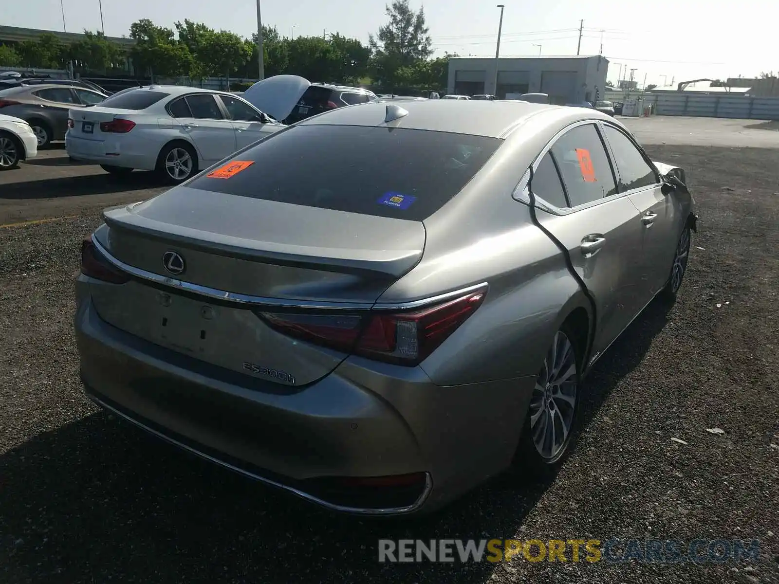 4 Photograph of a damaged car 58AB21B11KU001575 LEXUS ES300 2019