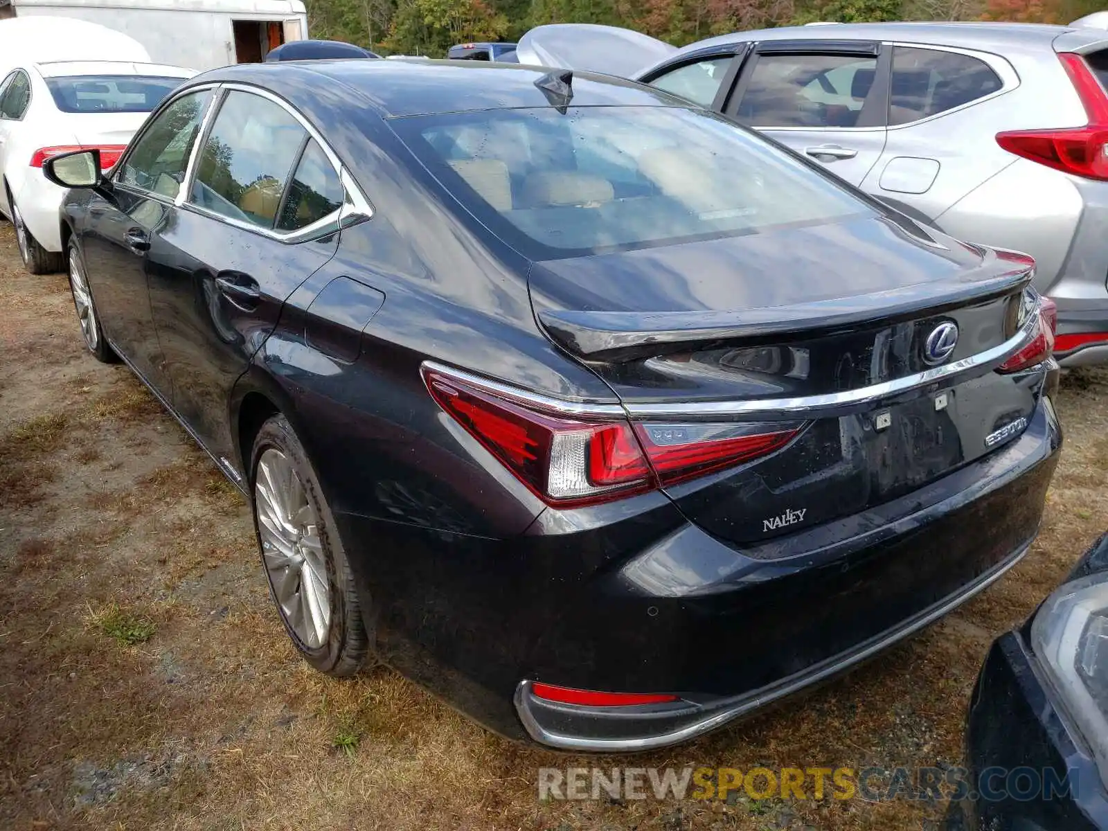 3 Photograph of a damaged car 58AB21B11KU002662 LEXUS ES300 2019