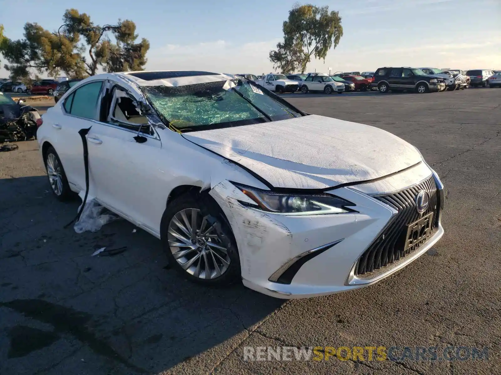 1 Photograph of a damaged car 58AB21B12KU003609 LEXUS ES300 2019