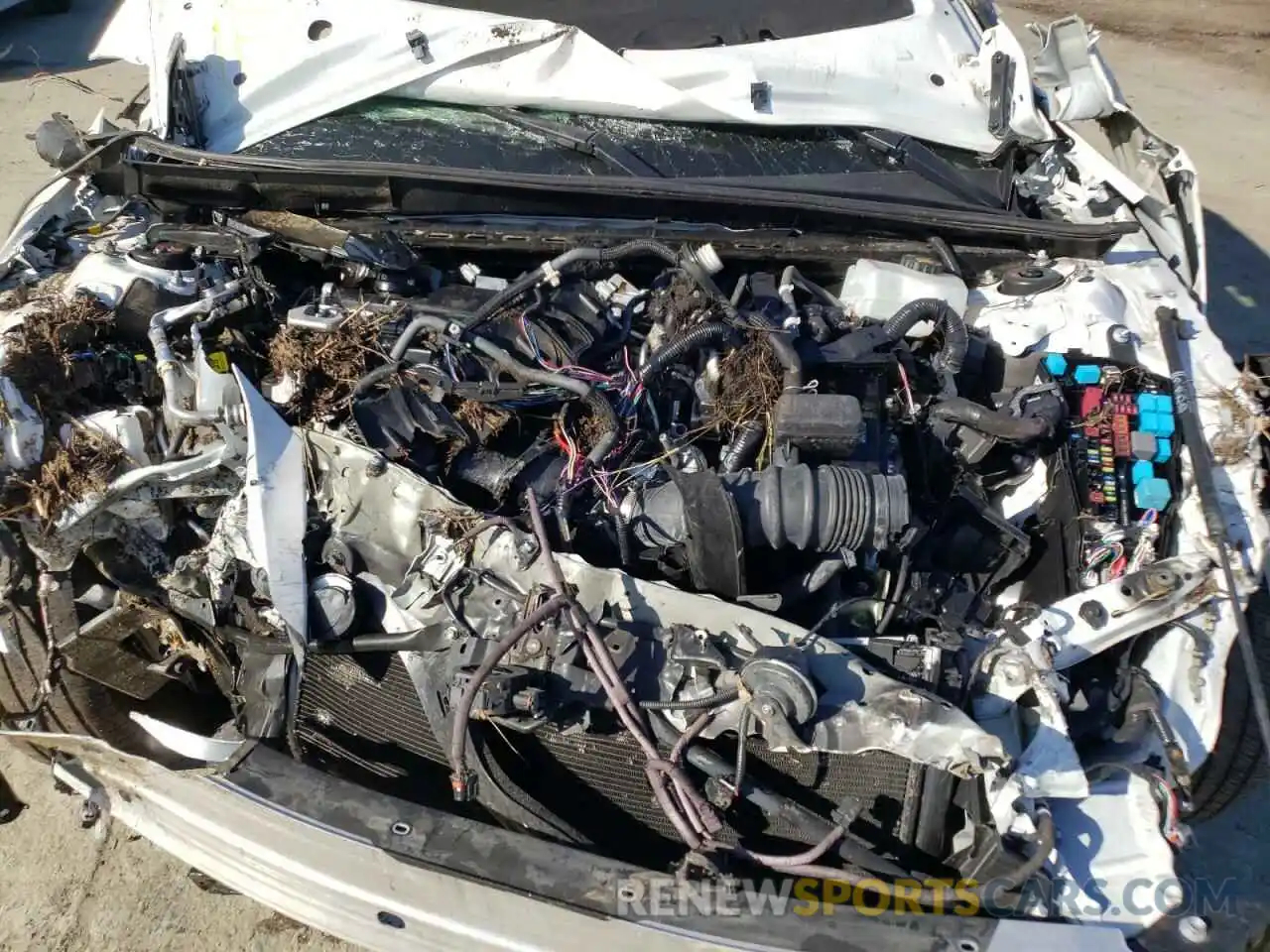 7 Photograph of a damaged car 58AB21B16KU002222 LEXUS ES300 2019