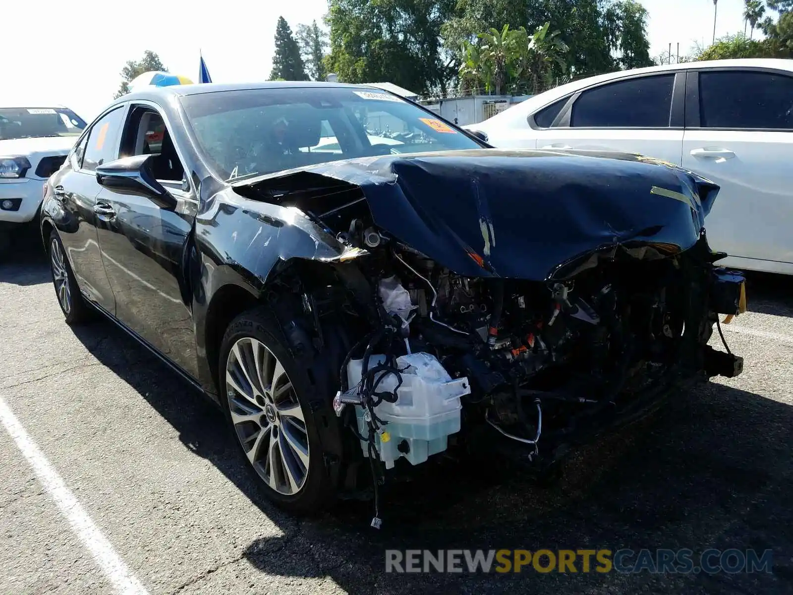 1 Photograph of a damaged car 58AB21B19KU003199 LEXUS ES300 2019