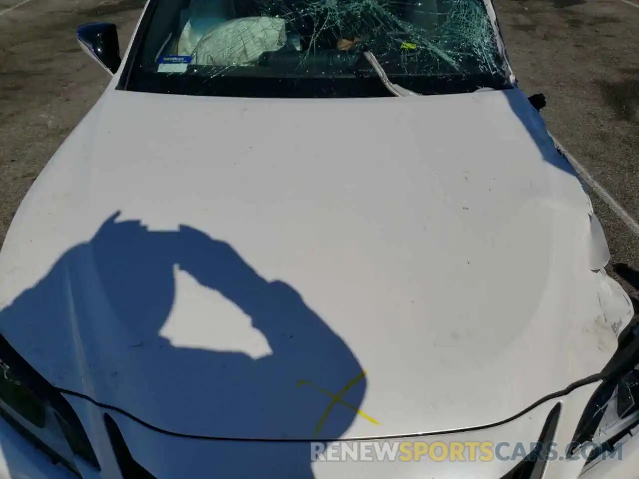 7 Photograph of a damaged car 58AD21B15LU010743 LEXUS ES300 2020