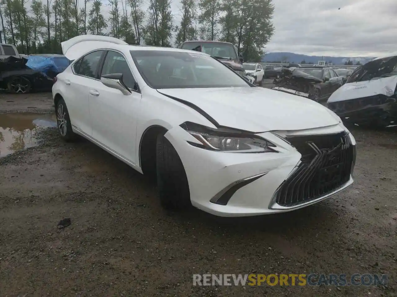 1 Photograph of a damaged car 58ADA1C13MU012414 LEXUS ES300 2021