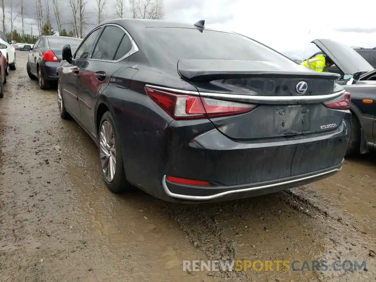 3 Photograph of a damaged car 58AEA1C18MU001302 LEXUS ES300 2021