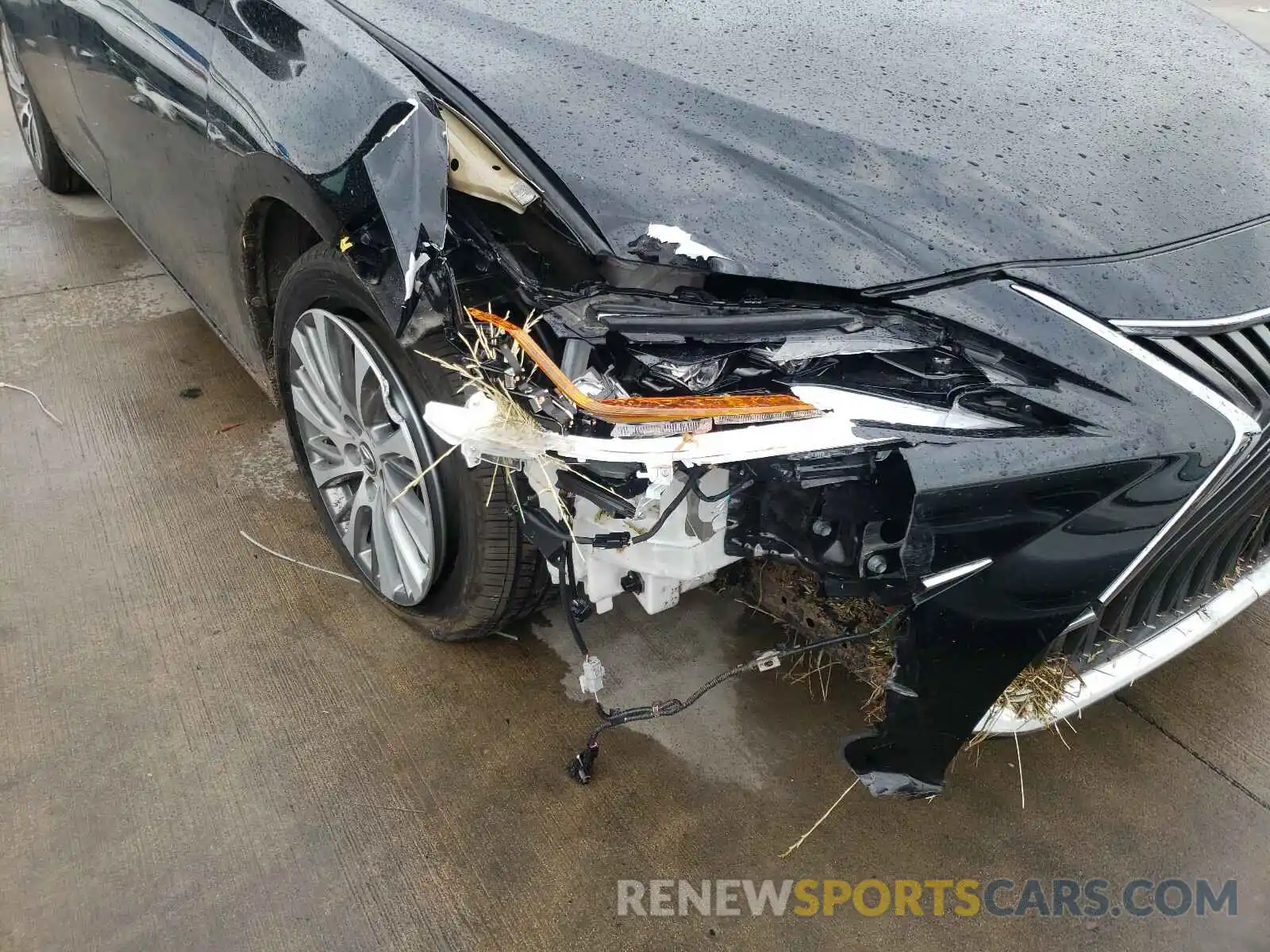 9 Photograph of a damaged car 58ABZ1B12KU017800 LEXUS ES350 2019