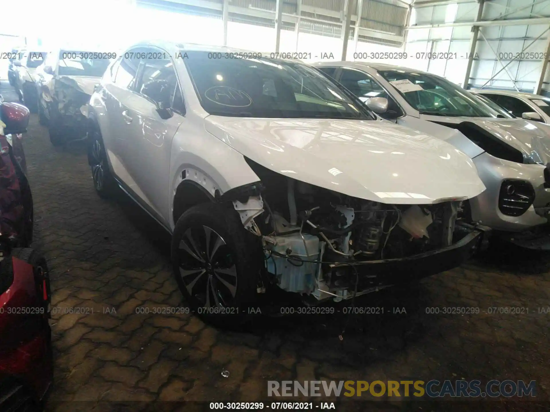 1 Photograph of a damaged car 000000004K2179914 LEXUS NX 2019