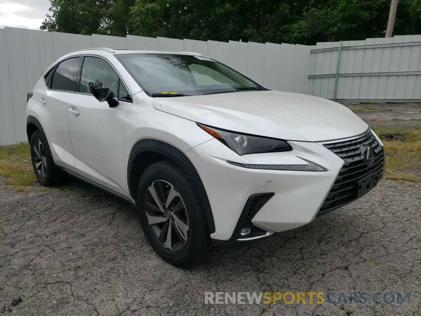 1 Photograph of a damaged car JTJBARBZ0K2209202 LEXUS NX 2019