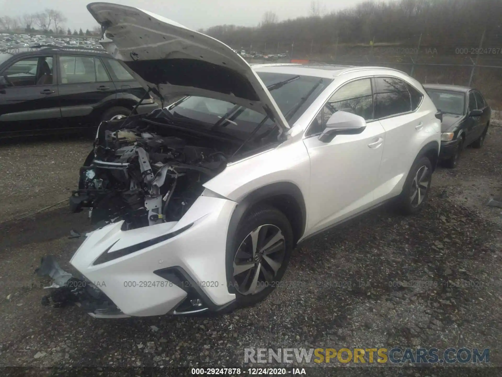 2 Фотография поврежденного автомобиля JTJBARBZ1K2190028 LEXUS NX 2019