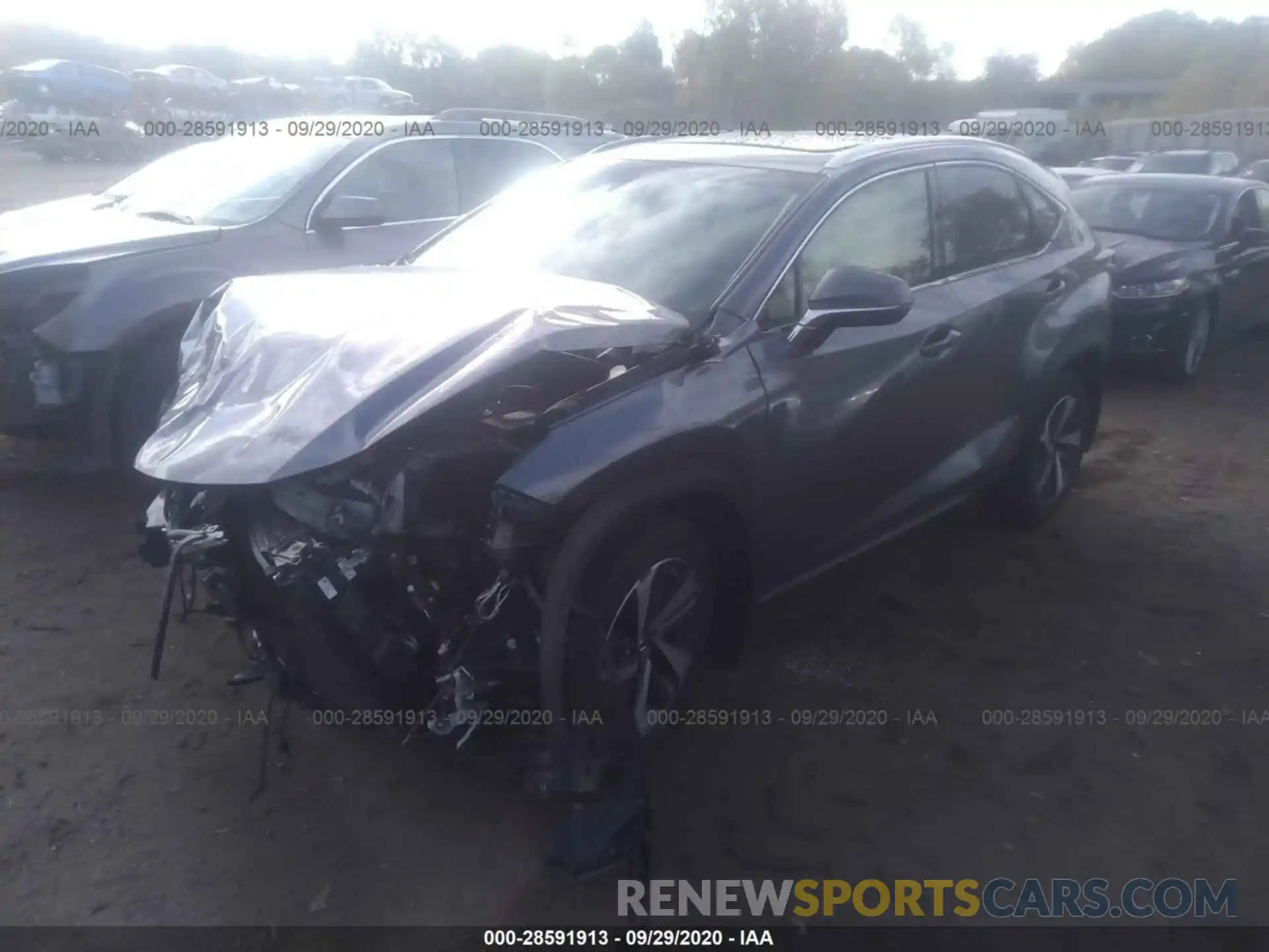 2 Фотография поврежденного автомобиля JTJBARBZ1K2194791 LEXUS NX 2019