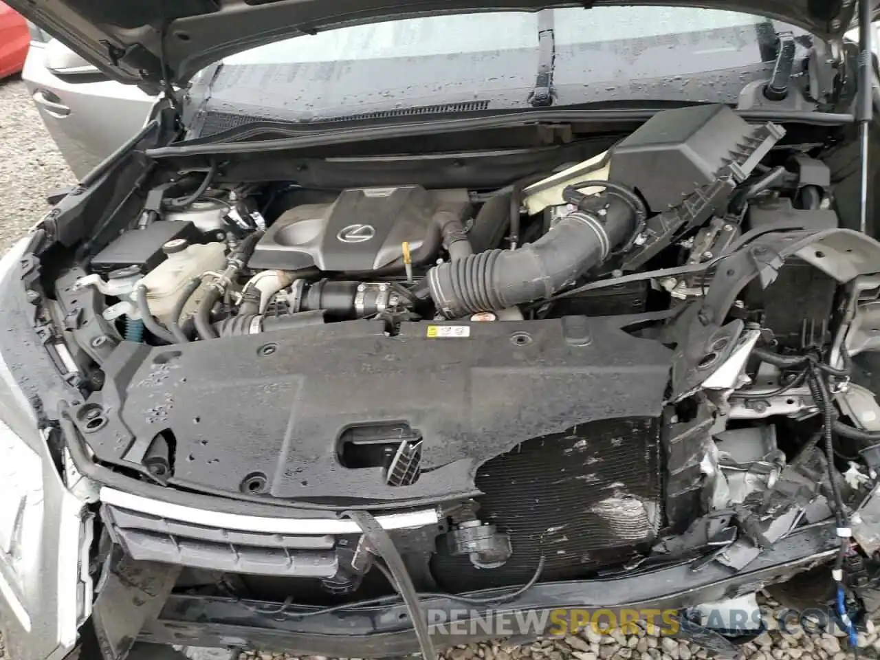 11 Photograph of a damaged car JTJBARBZ1K2204641 LEXUS NX 2019