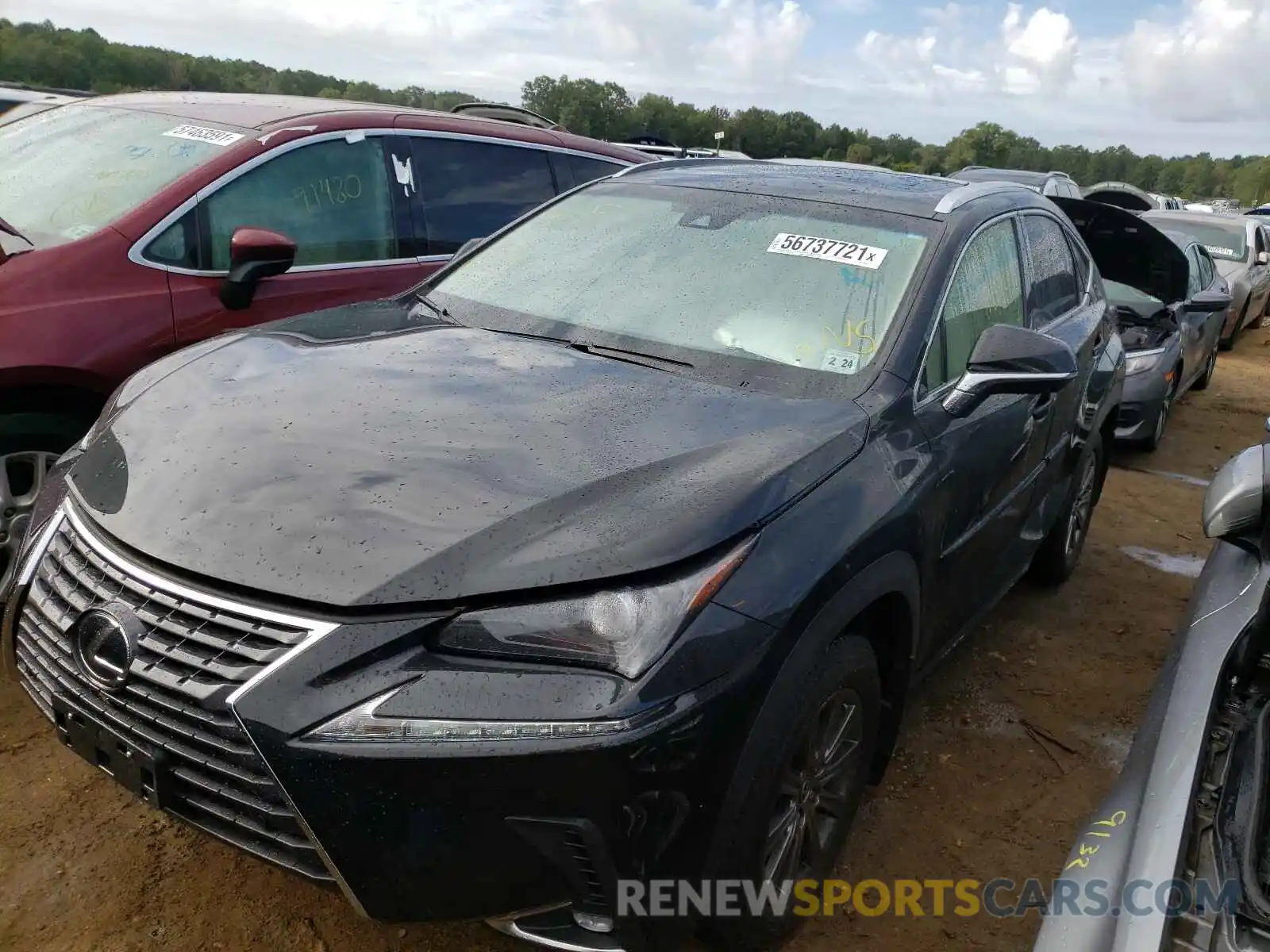 2 Photograph of a damaged car JTJBARBZ1K2205952 LEXUS NX 2019