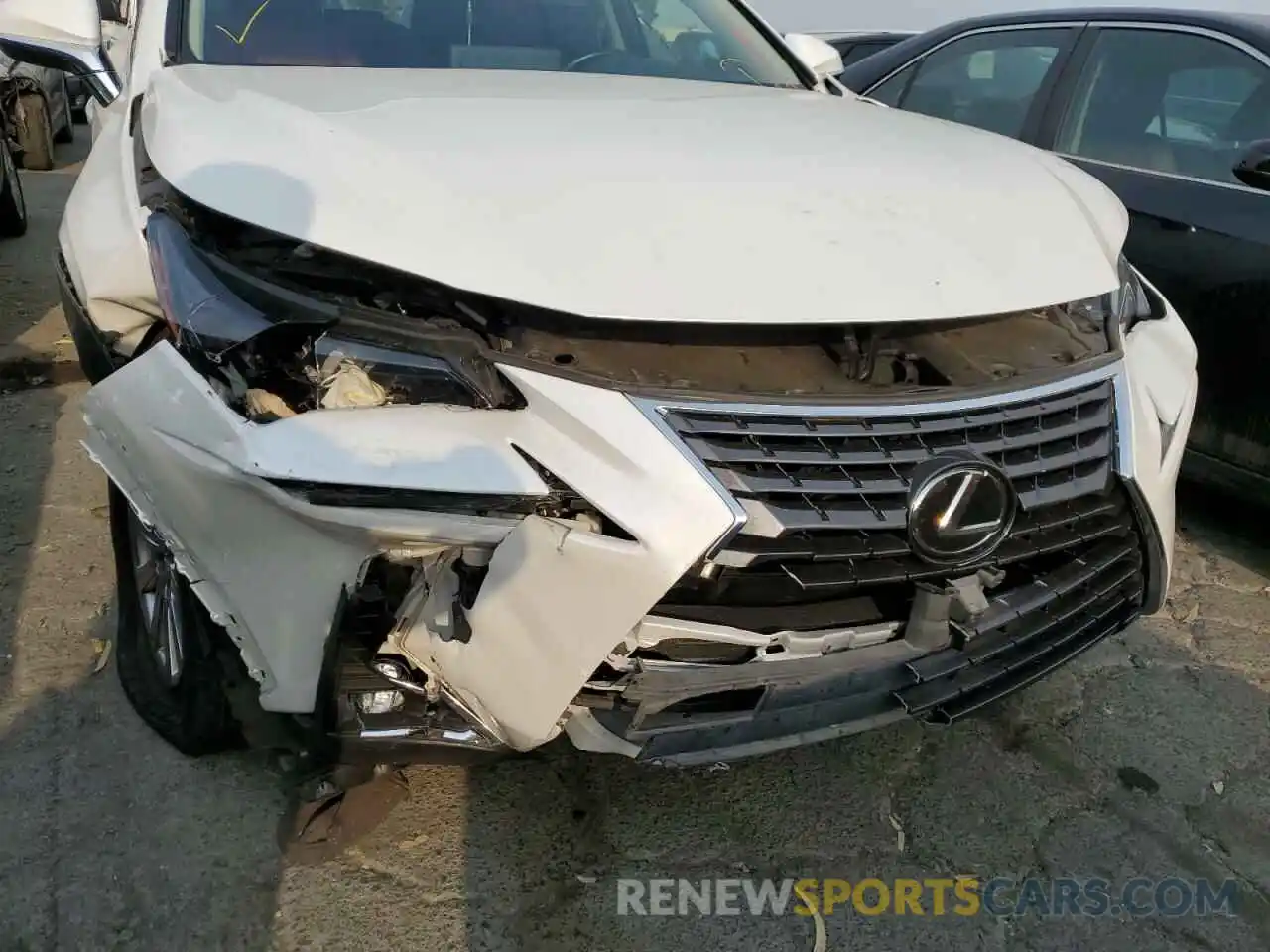 9 Photograph of a damaged car JTJBARBZ1K2215493 LEXUS NX 2019