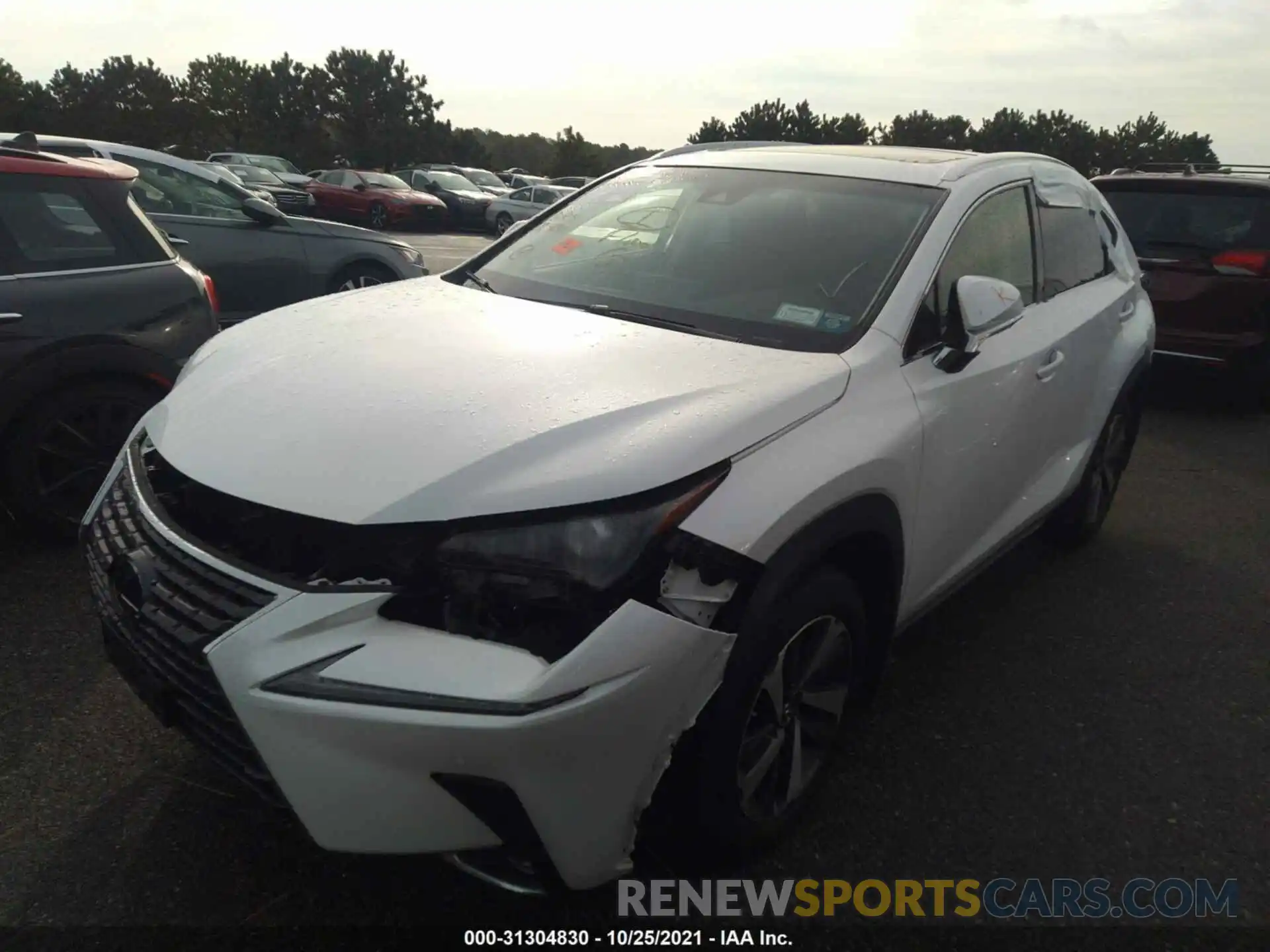 2 Photograph of a damaged car JTJBARBZ3K2196705 LEXUS NX 2019