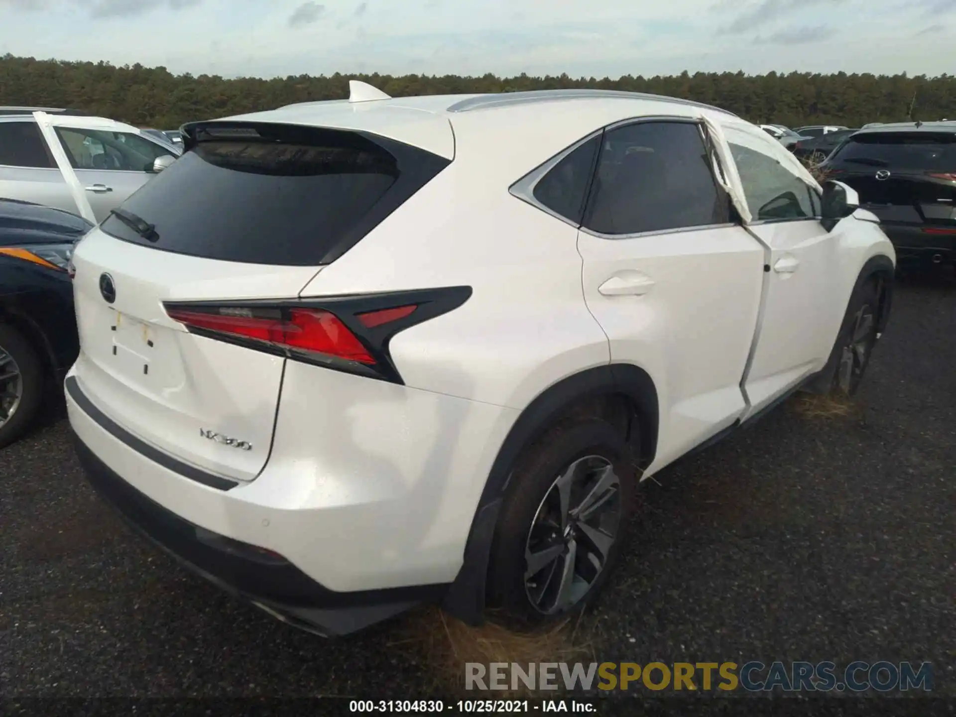 4 Фотография поврежденного автомобиля JTJBARBZ3K2196705 LEXUS NX 2019