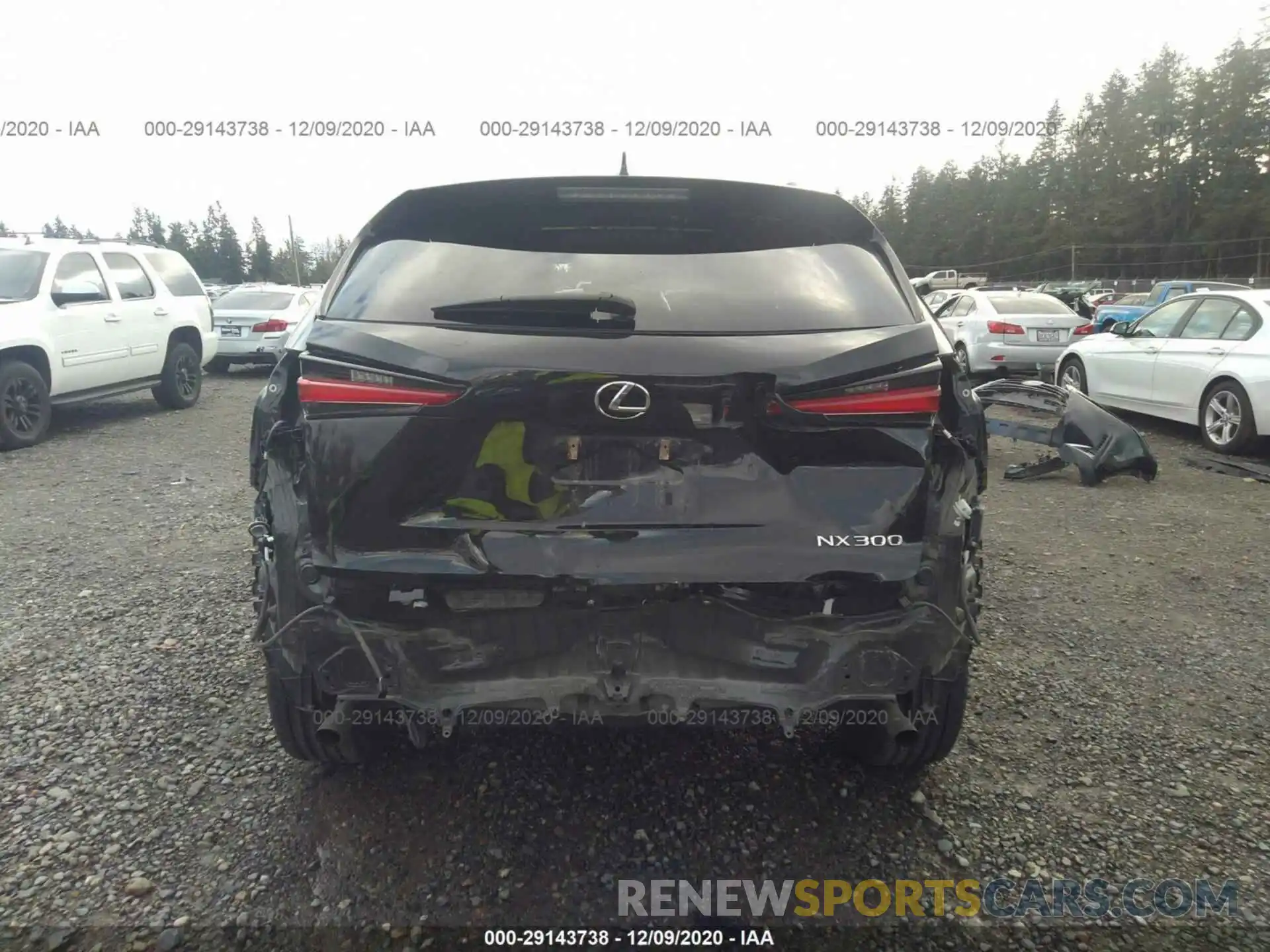 6 Photograph of a damaged car JTJBARBZ5K2181882 LEXUS NX 2019