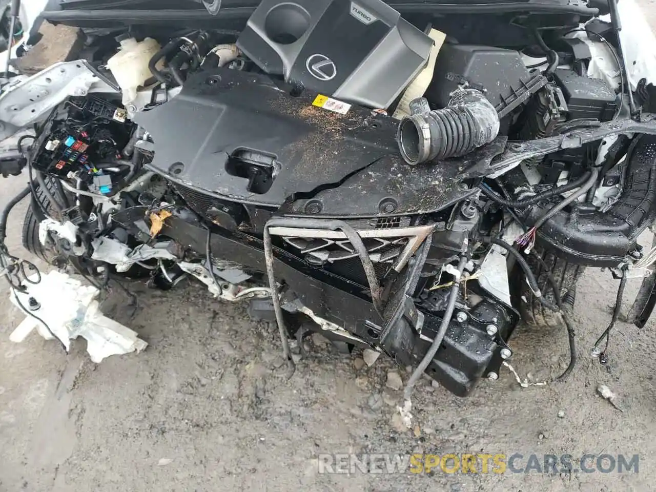 7 Photograph of a damaged car JTJBARBZ5K2183406 LEXUS NX 2019