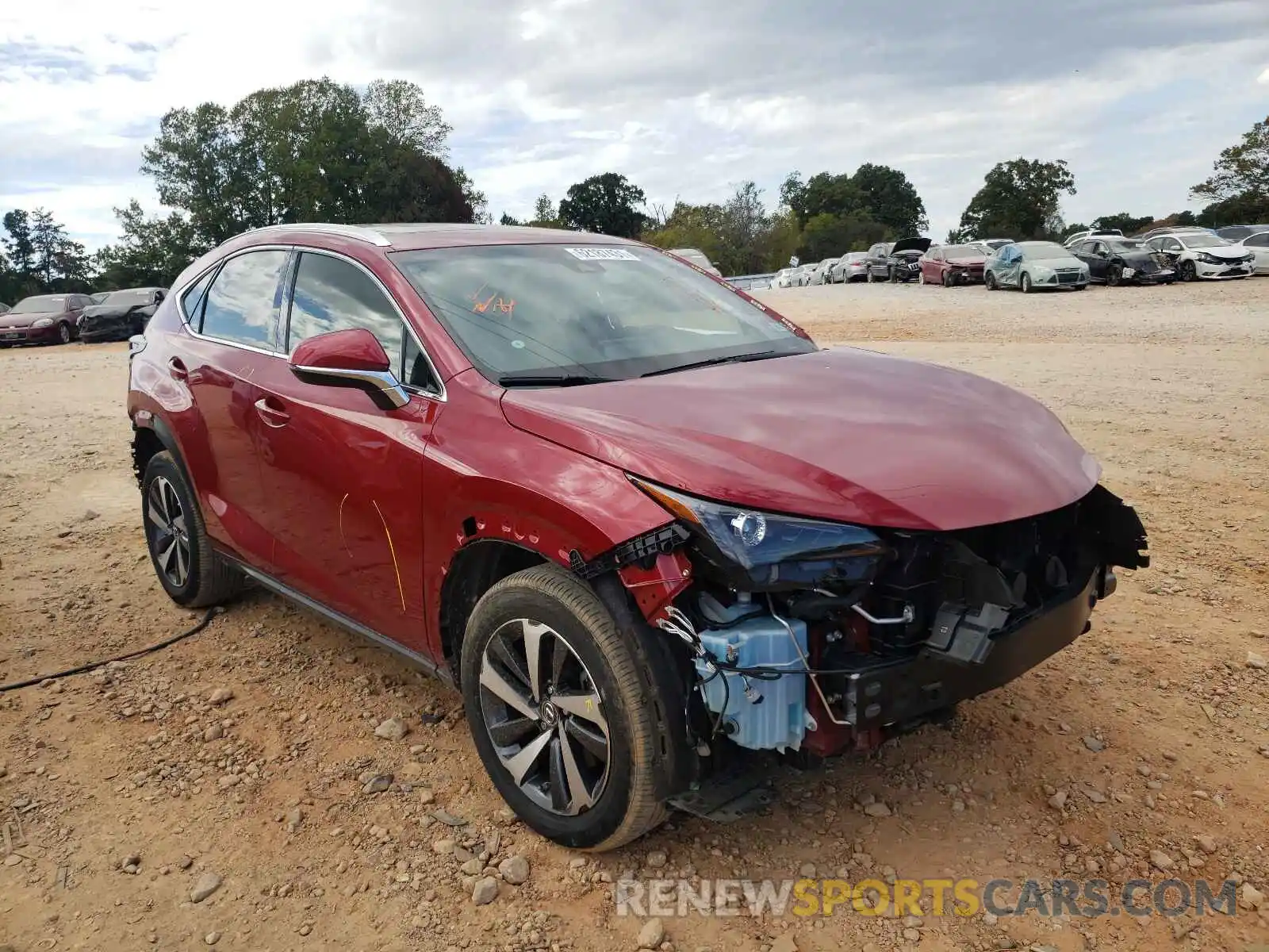 1 Photograph of a damaged car JTJBARBZ5K2183745 LEXUS NX 2019