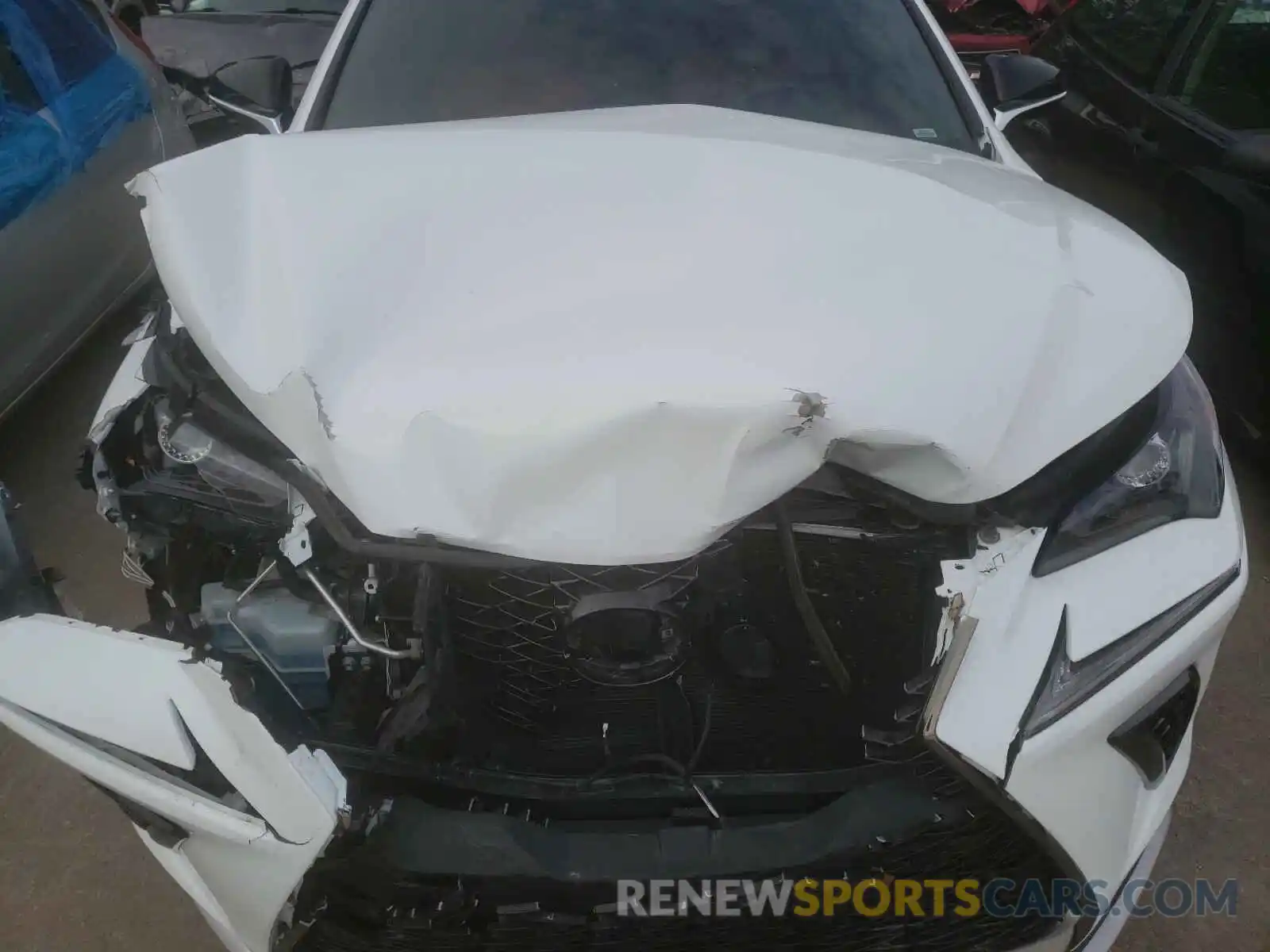 7 Photograph of a damaged car JTJBARBZ5K2200964 LEXUS NX 2019