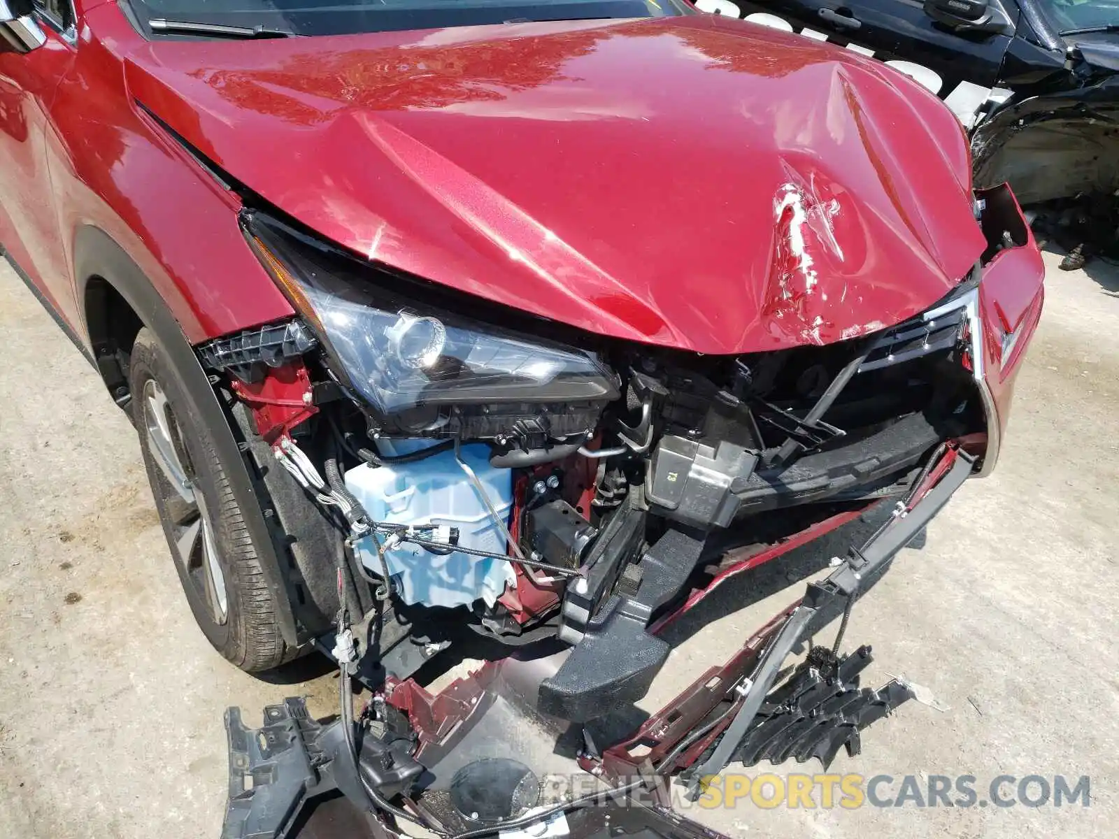 9 Photograph of a damaged car JTJBARBZ5K2216825 LEXUS NX 2019