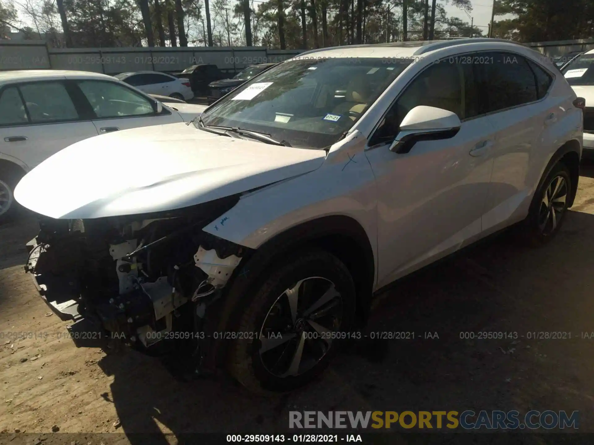 2 Photograph of a damaged car JTJBARBZ6K2193152 LEXUS NX 2019