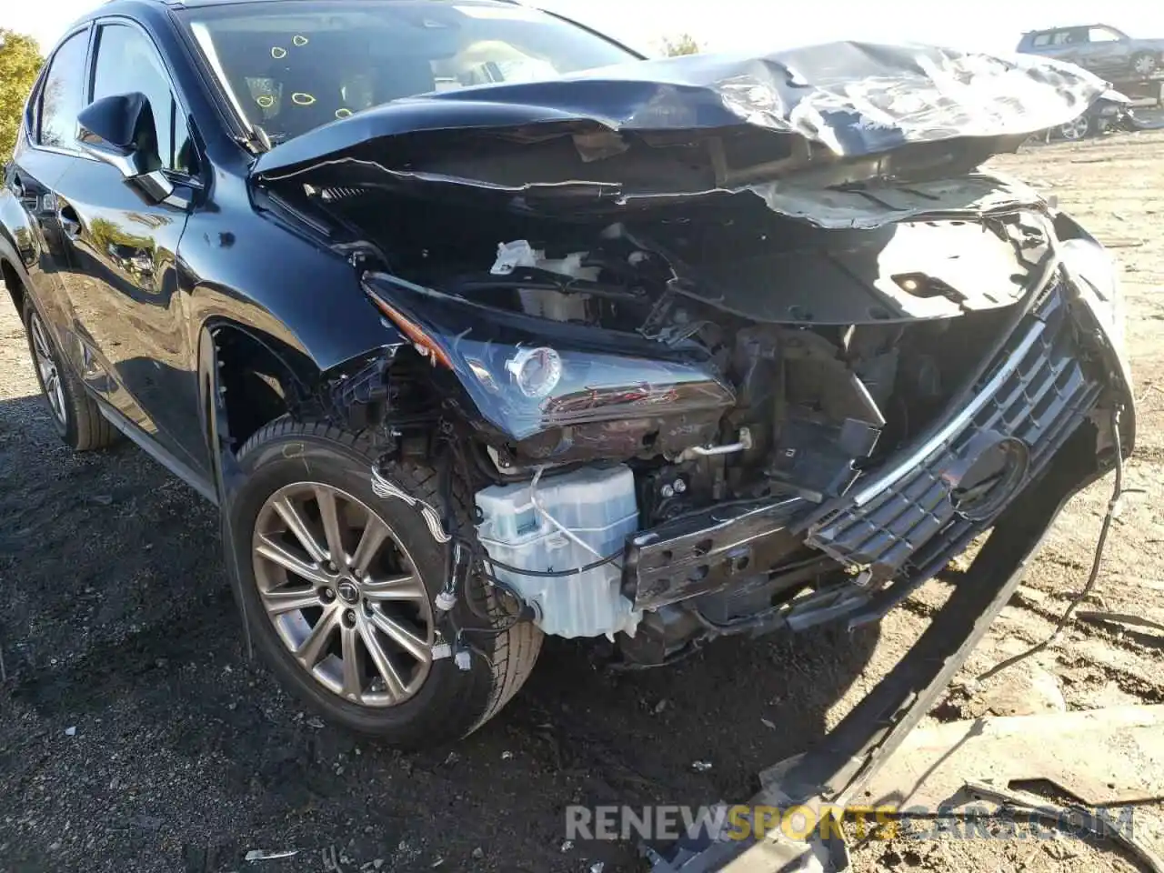 9 Photograph of a damaged car JTJBARBZ7K2186372 LEXUS NX 2019