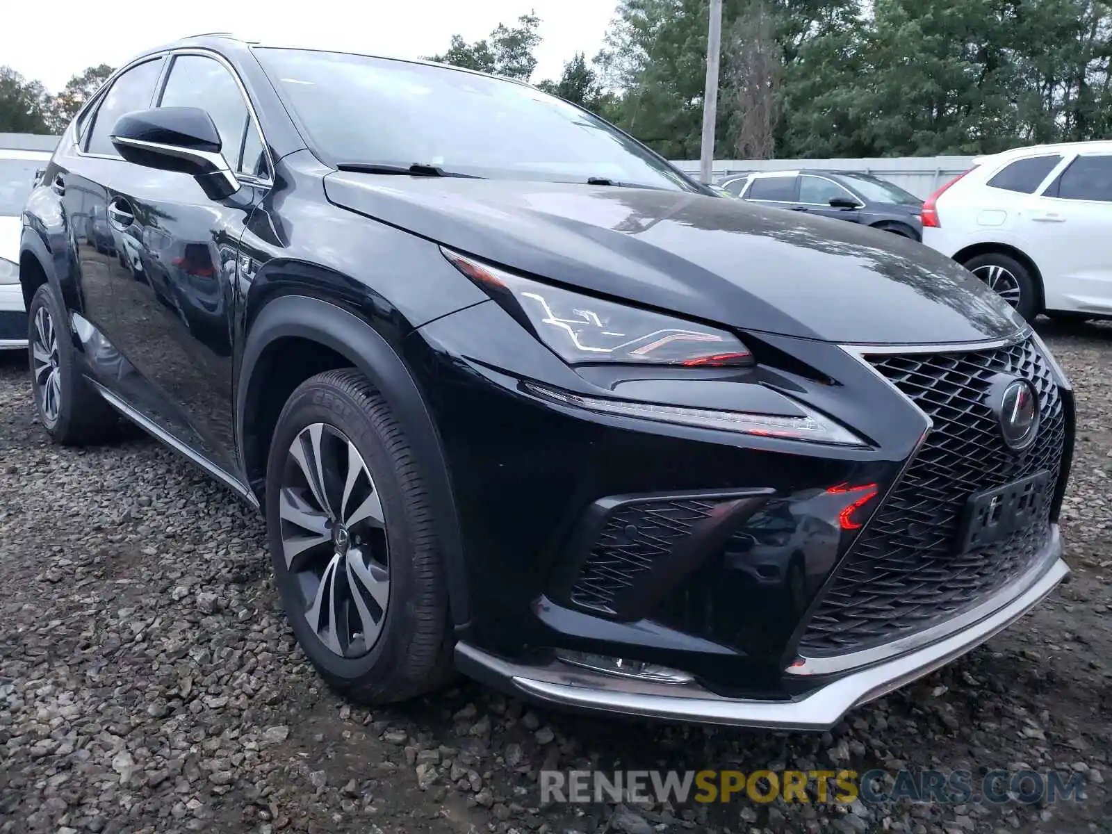 1 Фотография поврежденного автомобиля JTJBARBZ7K2189921 LEXUS NX 2019