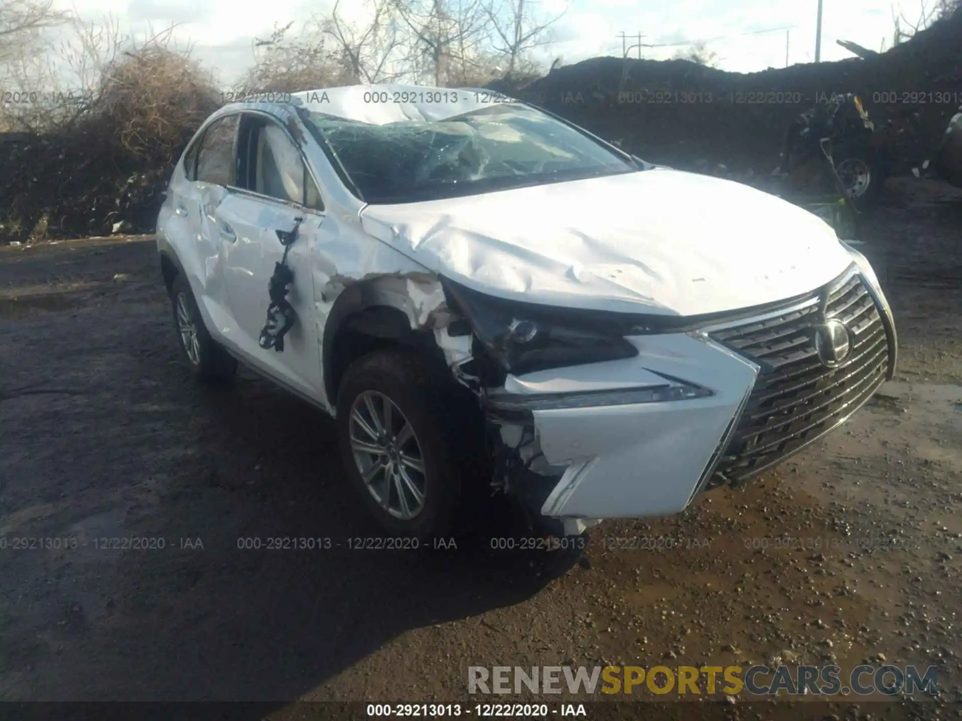 1 Photograph of a damaged car JTJBARBZ8K2192780 LEXUS NX 2019