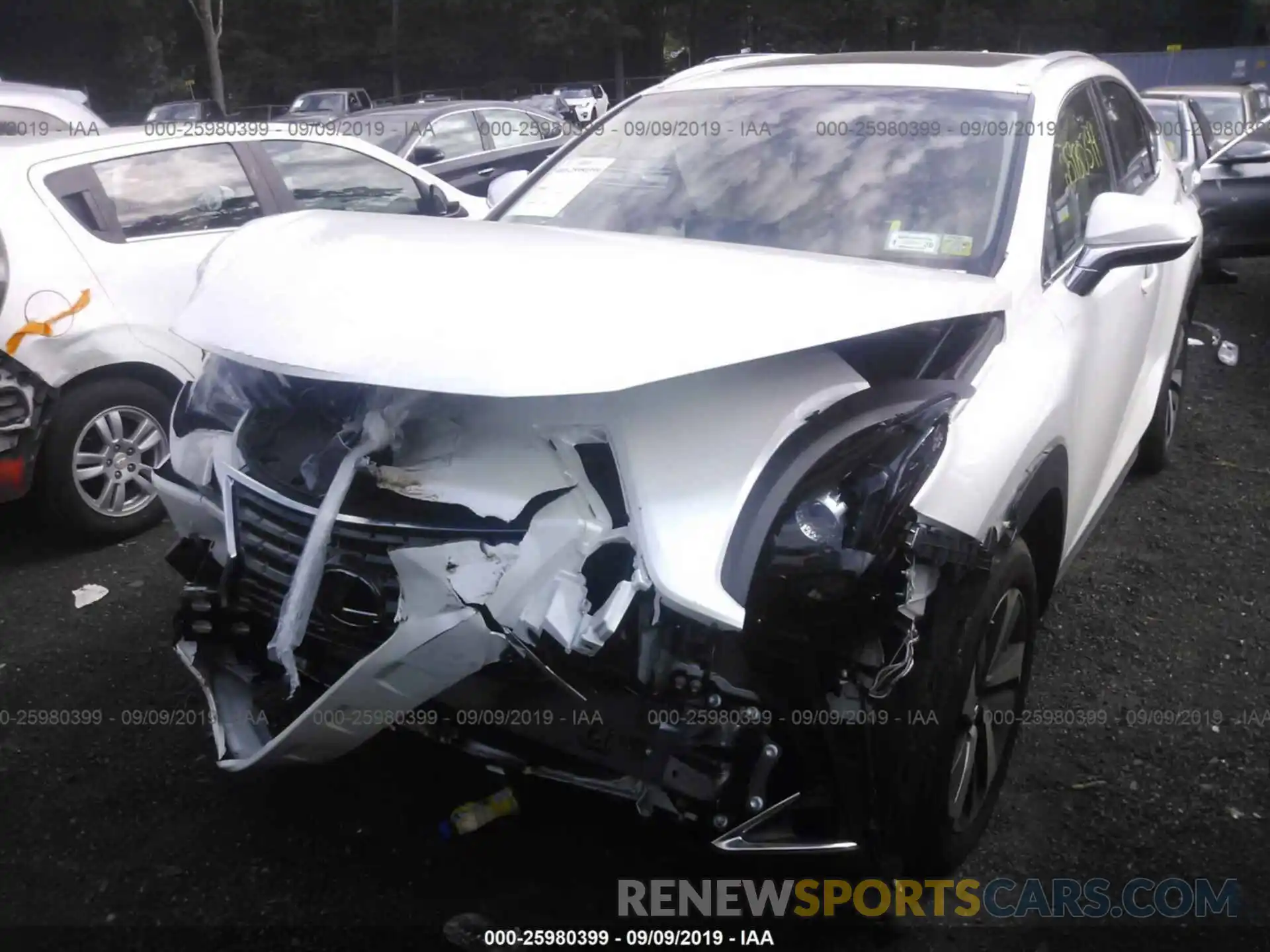 6 Фотография поврежденного автомобиля JTJBARBZ8K2194058 LEXUS NX 2019