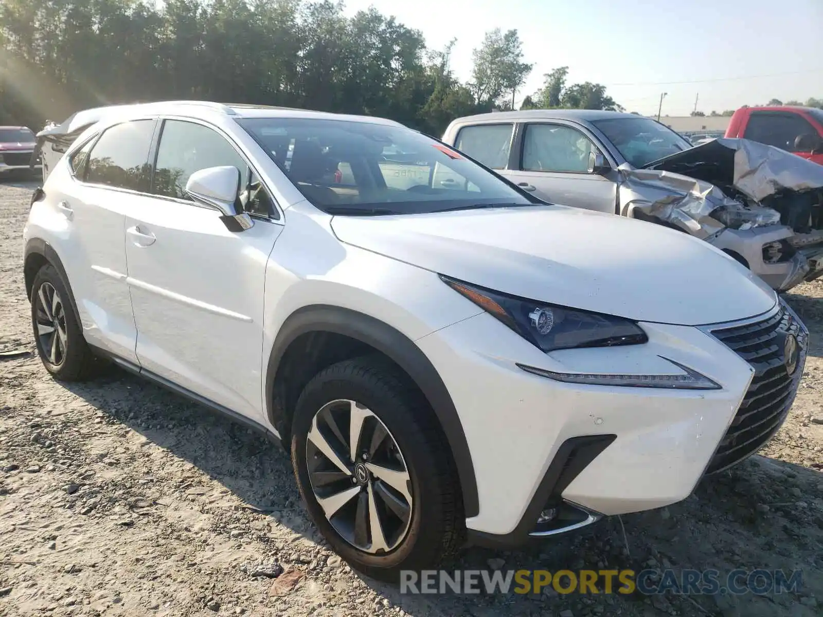 1 Photograph of a damaged car JTJBARBZ9K2211871 LEXUS NX 2019