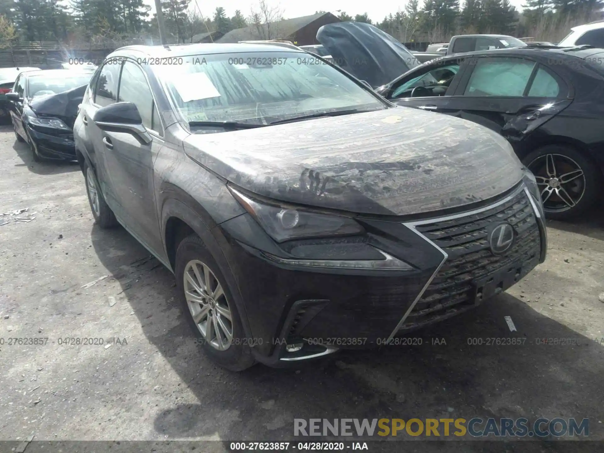 1 Фотография поврежденного автомобиля JTJBJRBZ6K2106995 LEXUS NX 2019