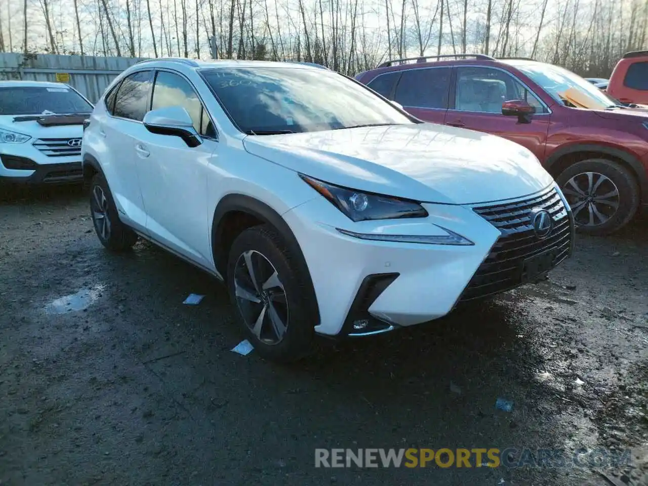 1 Photograph of a damaged car JTJBJRBZ7K2119819 LEXUS NX 2019