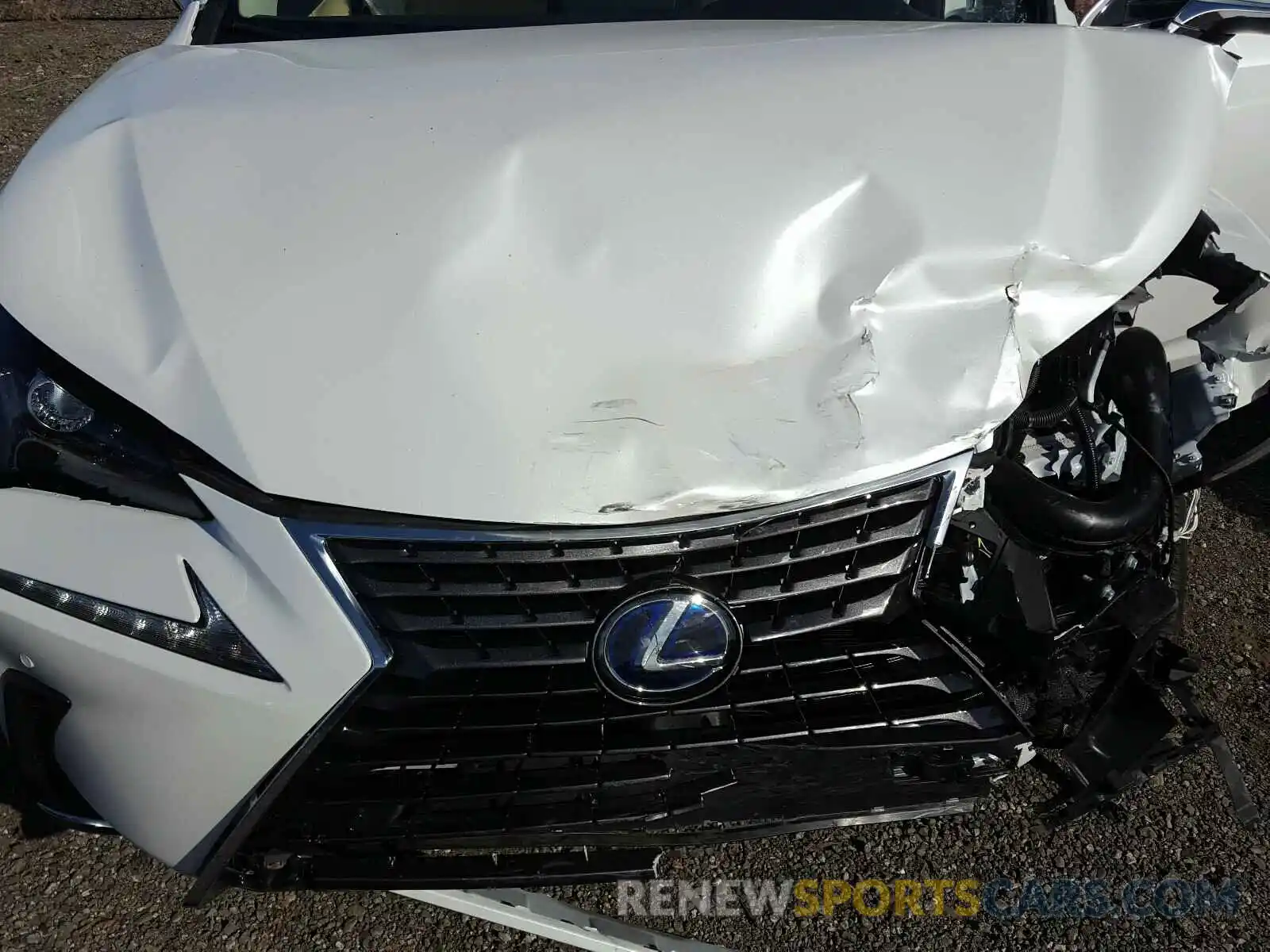 7 Фотография поврежденного автомобиля JTJBJRBZ7K2123014 LEXUS NX 2019