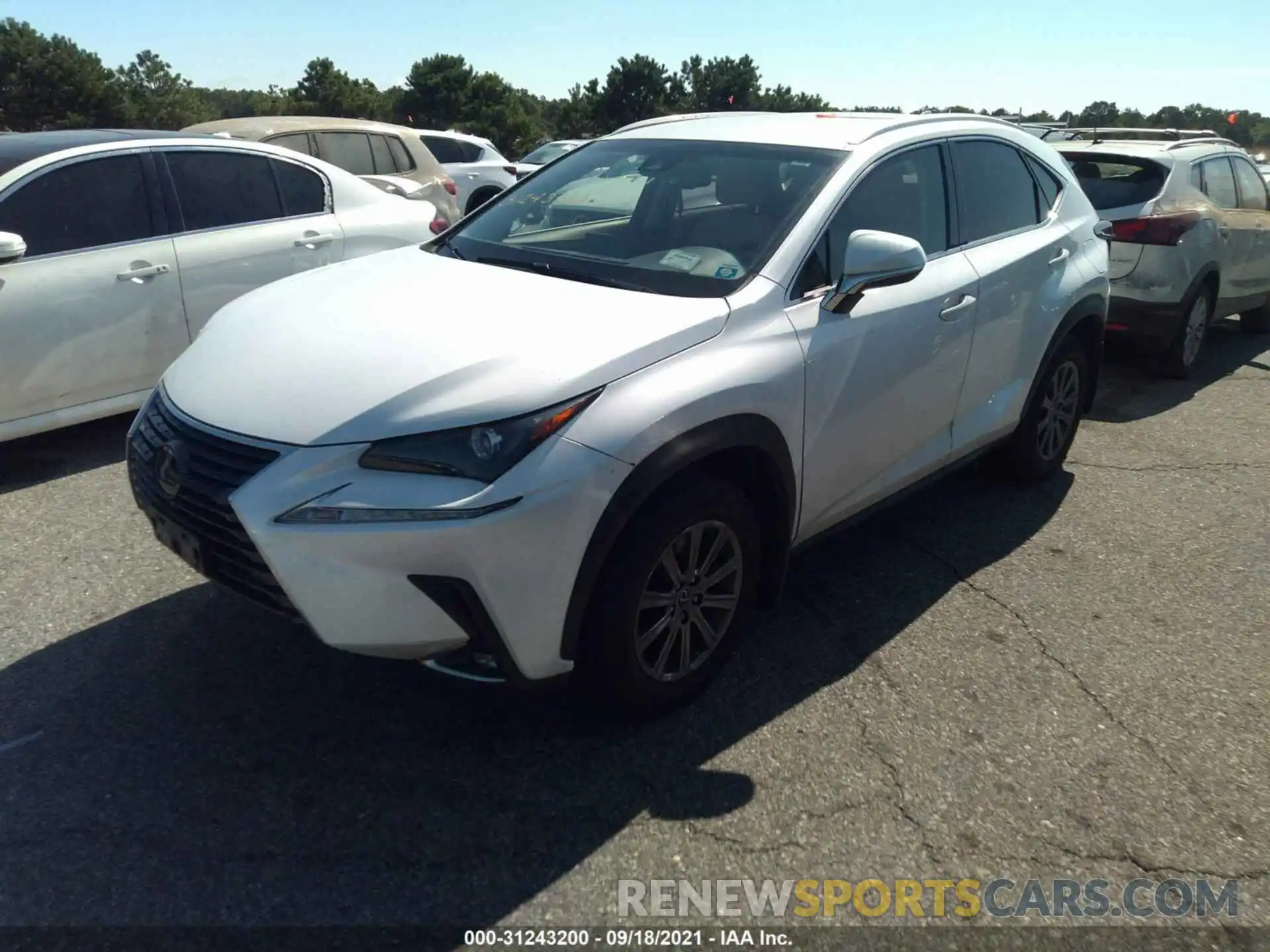 2 Фотография поврежденного автомобиля JTJYARBZ0K2118196 LEXUS NX 2019