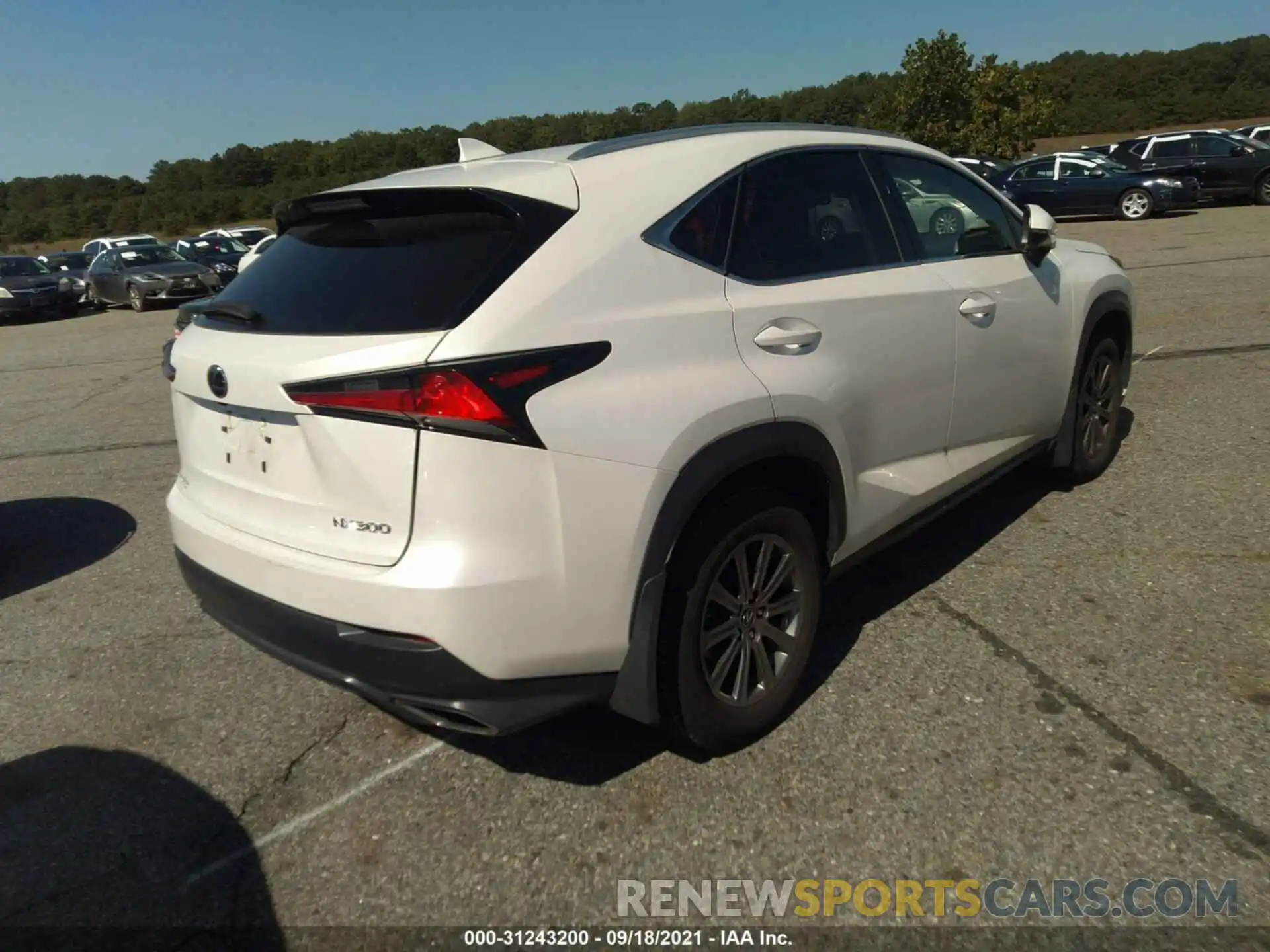 4 Photograph of a damaged car JTJYARBZ0K2118196 LEXUS NX 2019