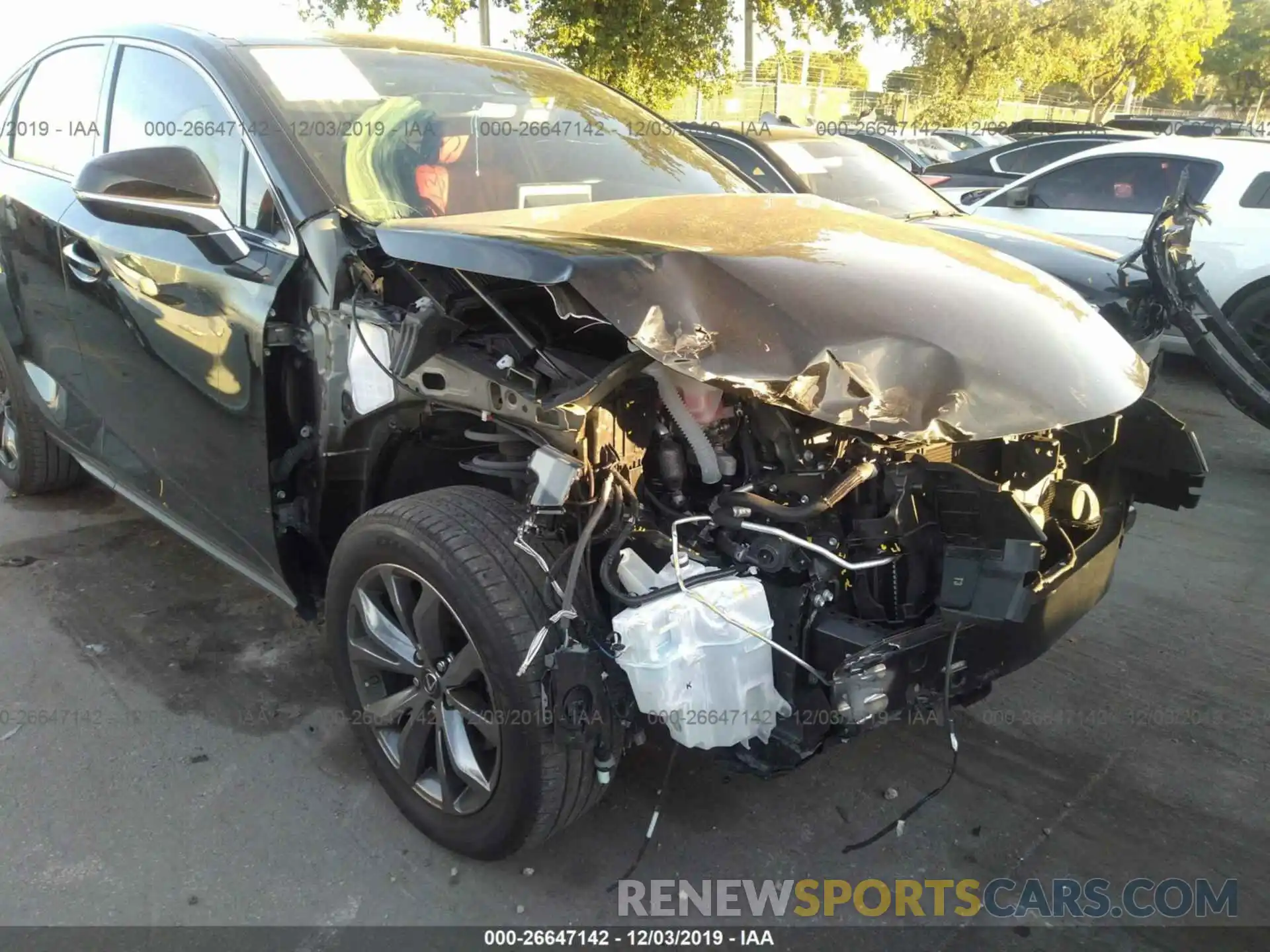 6 Photograph of a damaged car JTJYARBZ1K2131233 LEXUS NX 2019