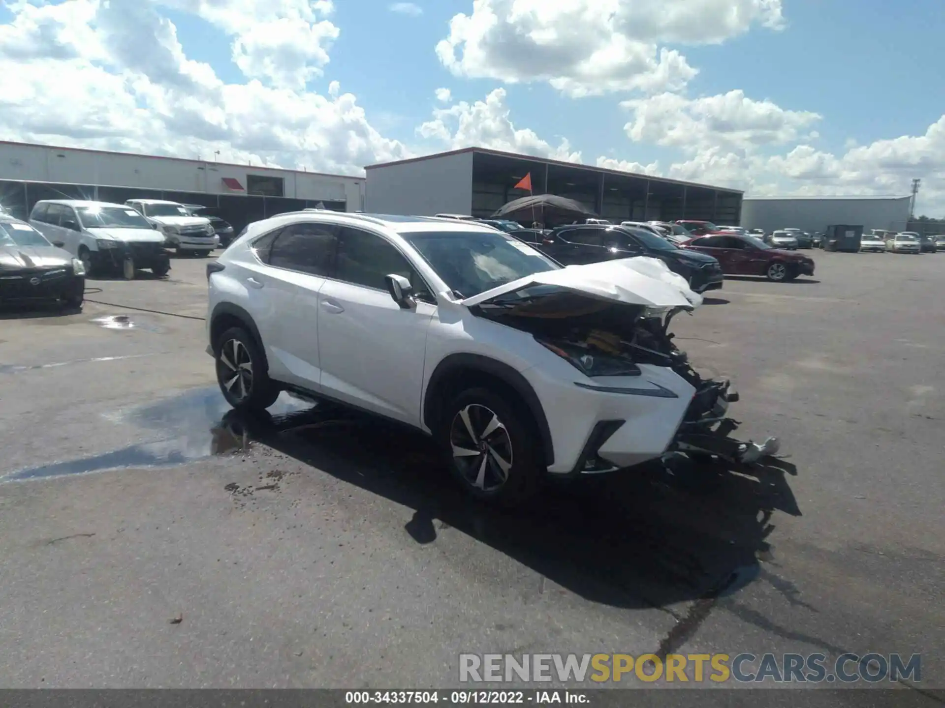 1 Photograph of a damaged car JTJYARBZ1K2142832 LEXUS NX 2019