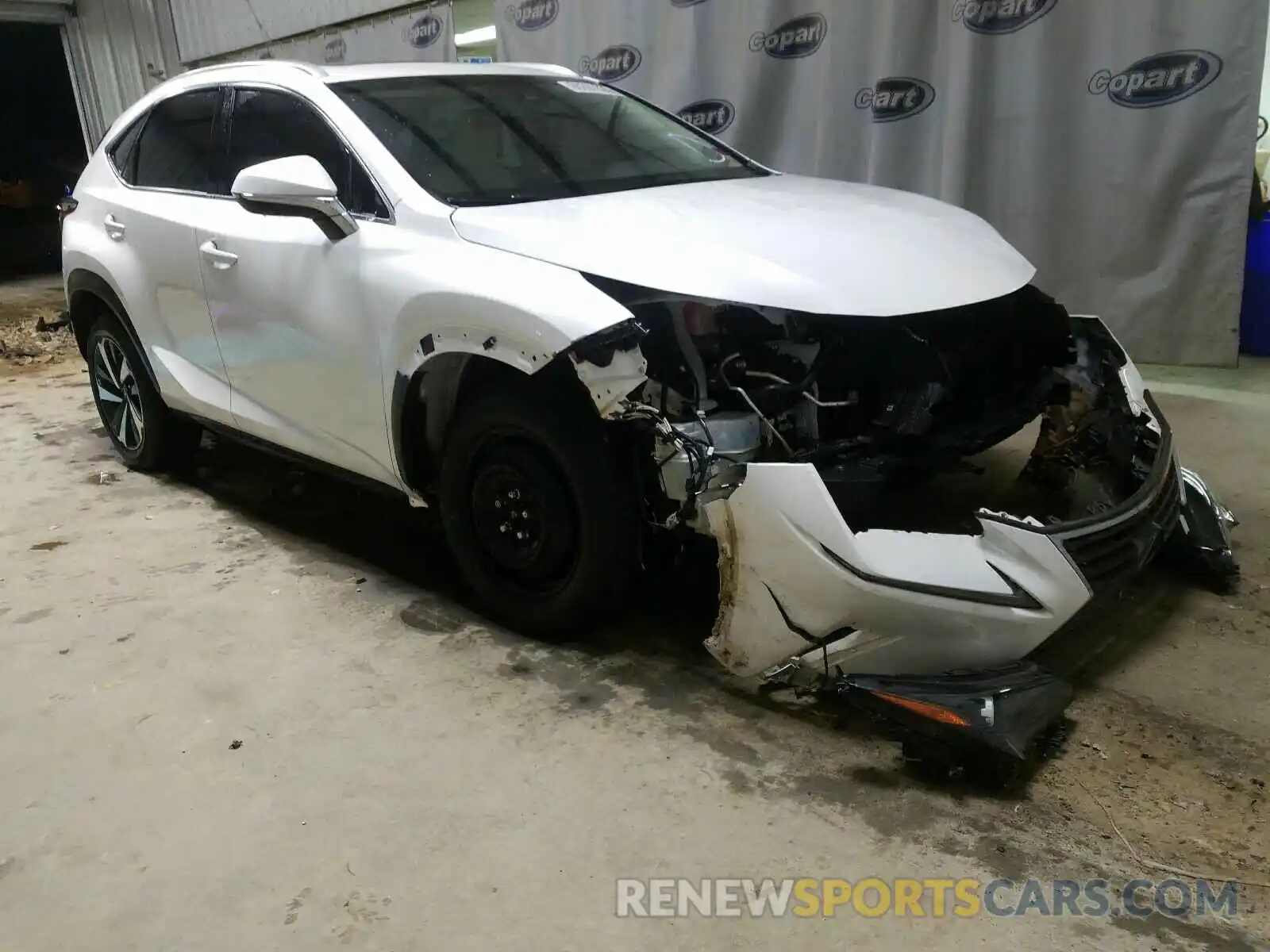 1 Photograph of a damaged car JTJYARBZ4K2129816 LEXUS NX 2019