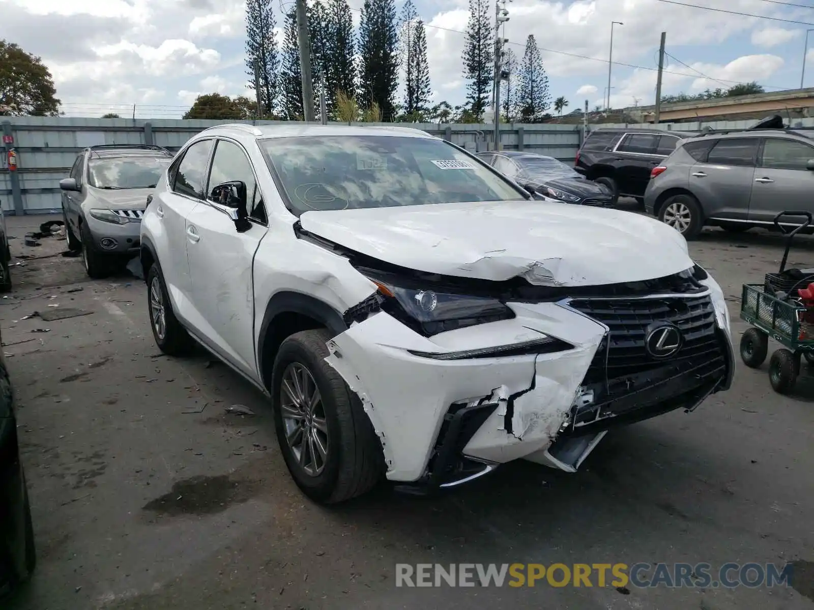 1 Фотография поврежденного автомобиля JTJYARBZ5K2124981 LEXUS NX 2019