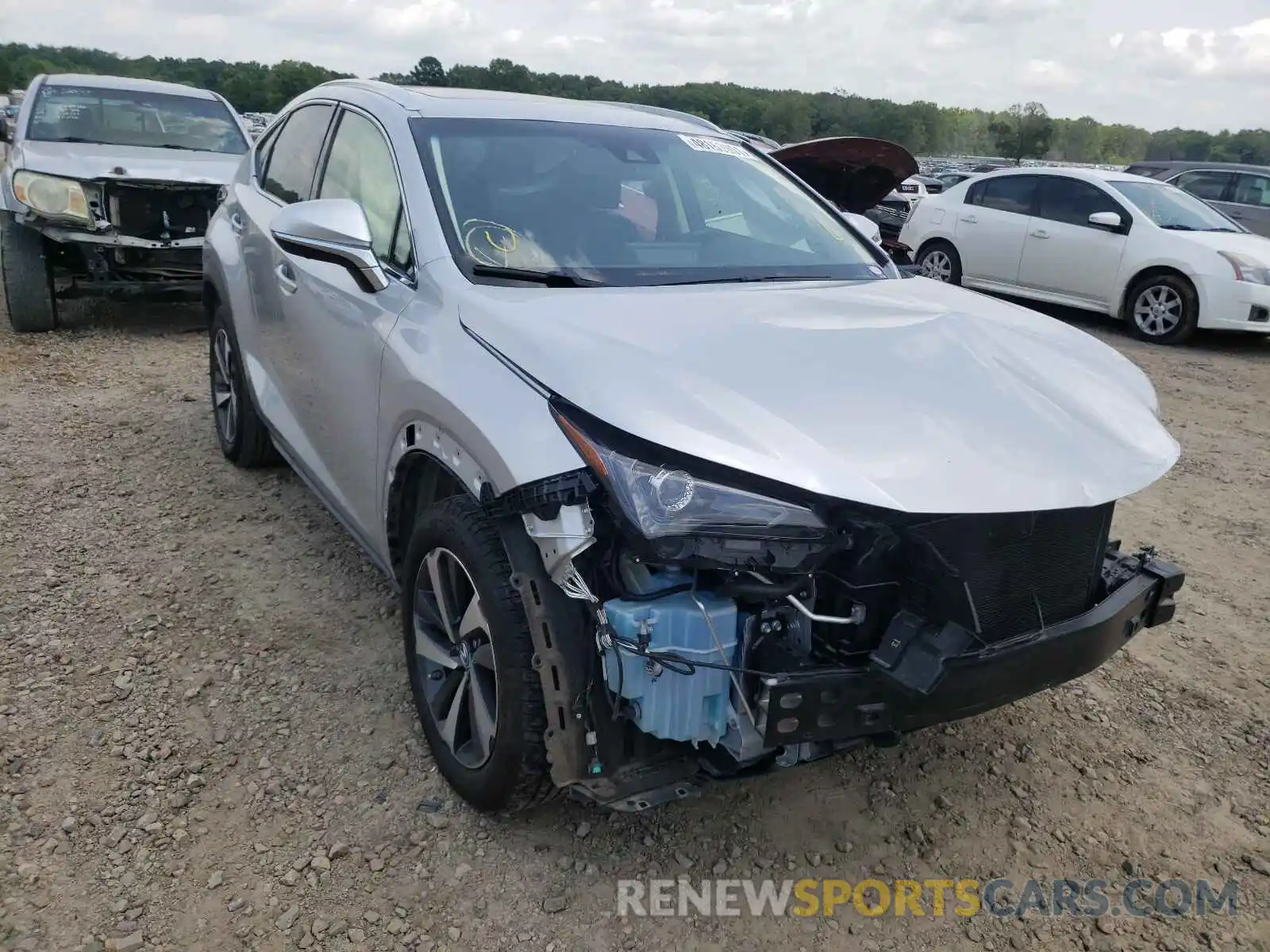 1 Photograph of a damaged car JTJYARBZ6K2131664 LEXUS NX 2019