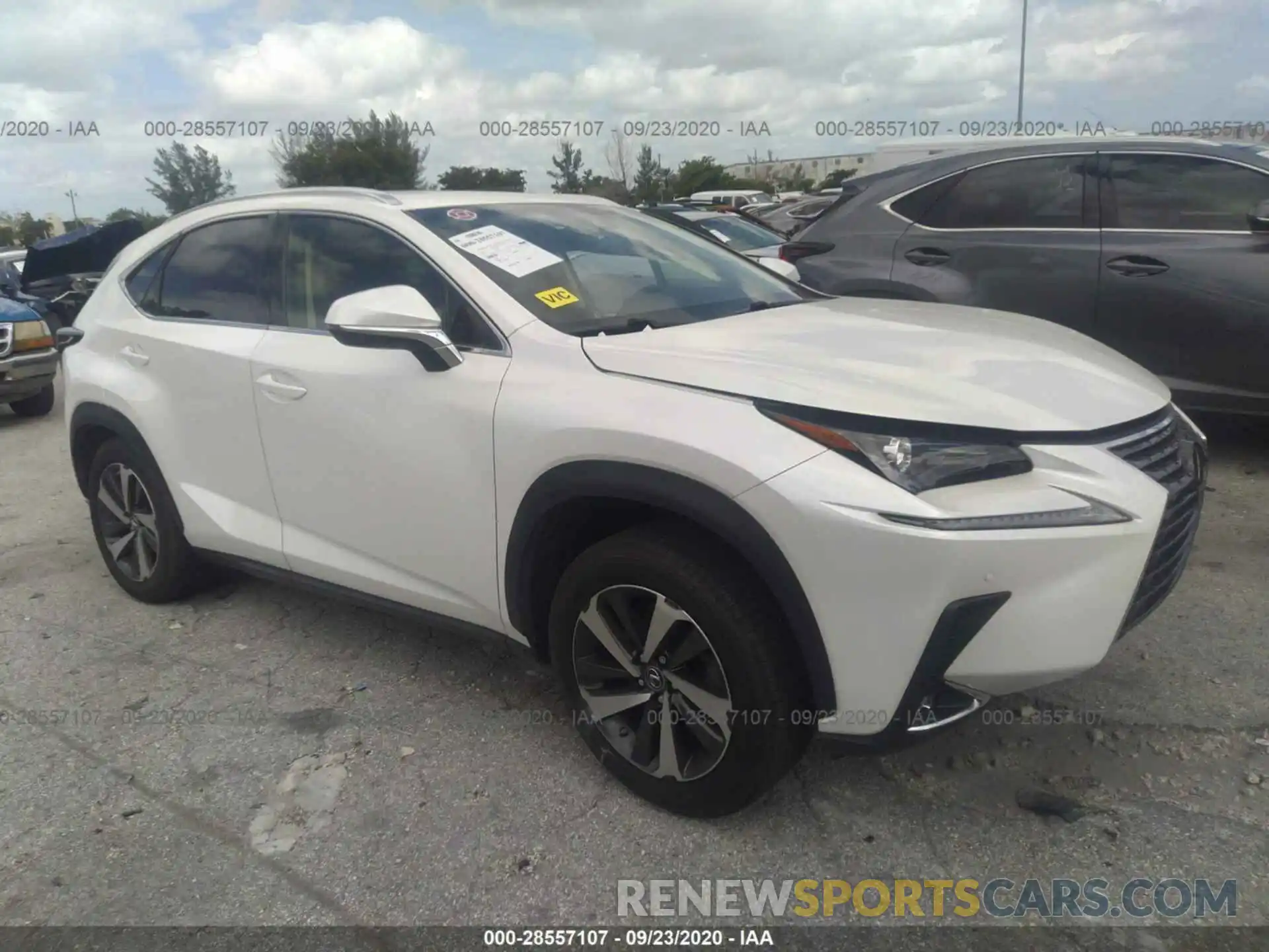 1 Фотография поврежденного автомобиля JTJYARBZ6K2138100 LEXUS NX 2019