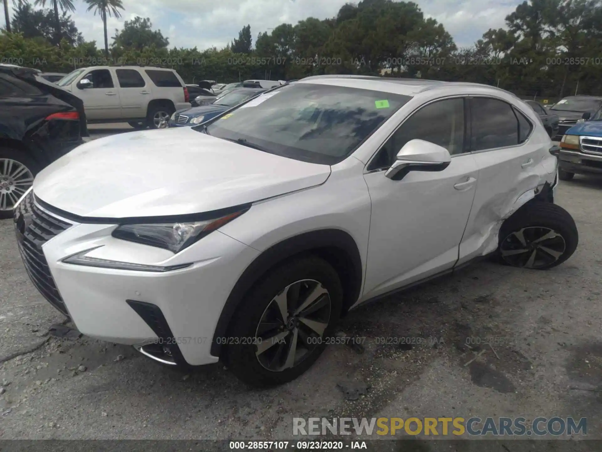 2 Photograph of a damaged car JTJYARBZ6K2138100 LEXUS NX 2019