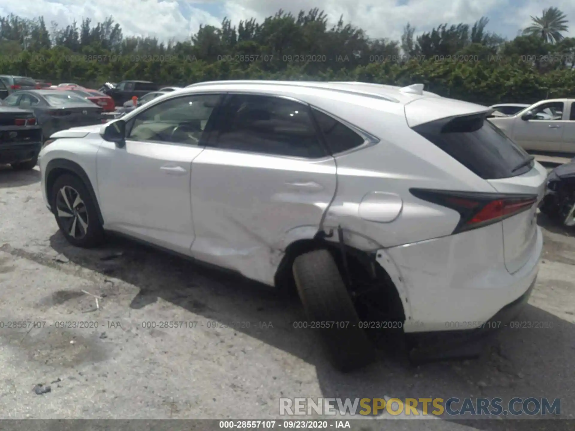 3 Photograph of a damaged car JTJYARBZ6K2138100 LEXUS NX 2019