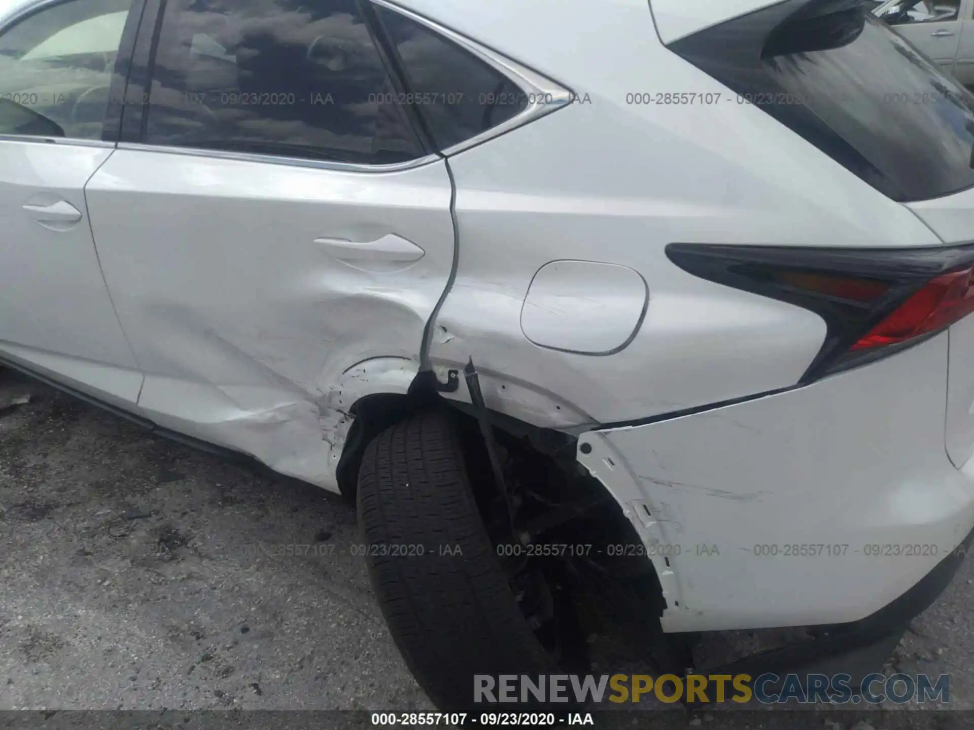 6 Photograph of a damaged car JTJYARBZ6K2138100 LEXUS NX 2019