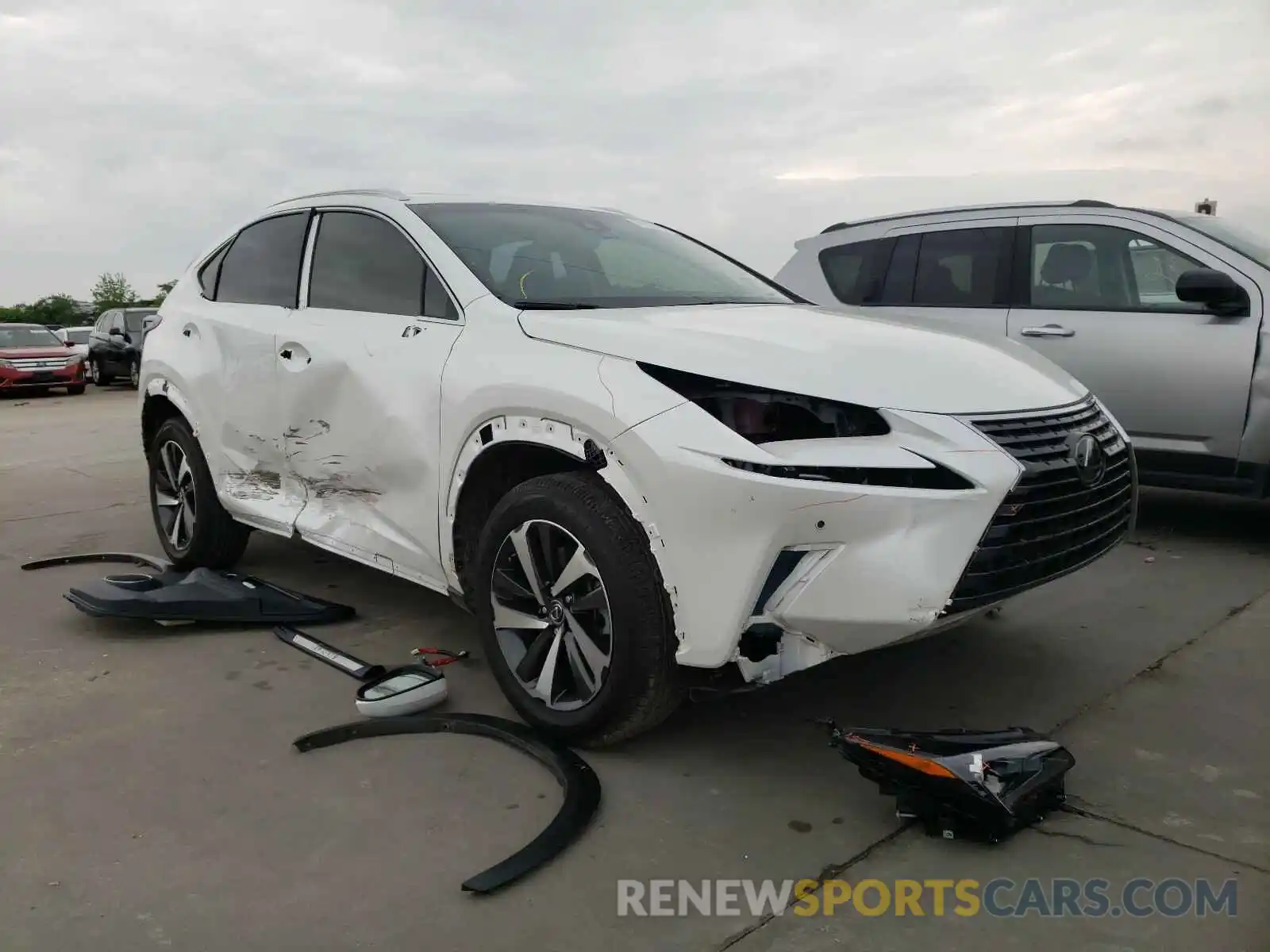 1 Фотография поврежденного автомобиля JTJYARBZ6K2157522 LEXUS NX 2019