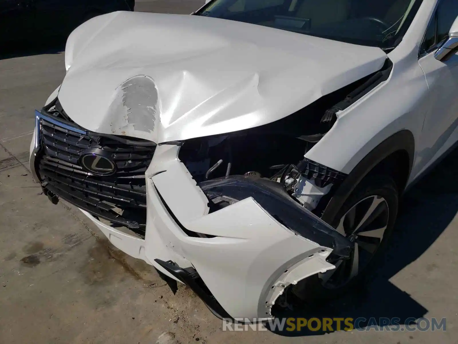 9 Photograph of a damaged car JTJYARBZ7K2130166 LEXUS NX 2019