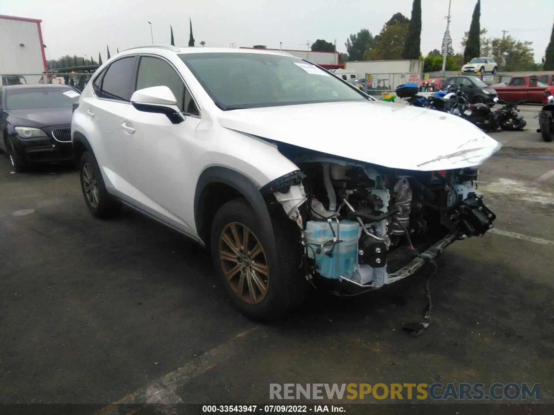 1 Фотография поврежденного автомобиля JTJYARBZ8K2128183 LEXUS NX 2019