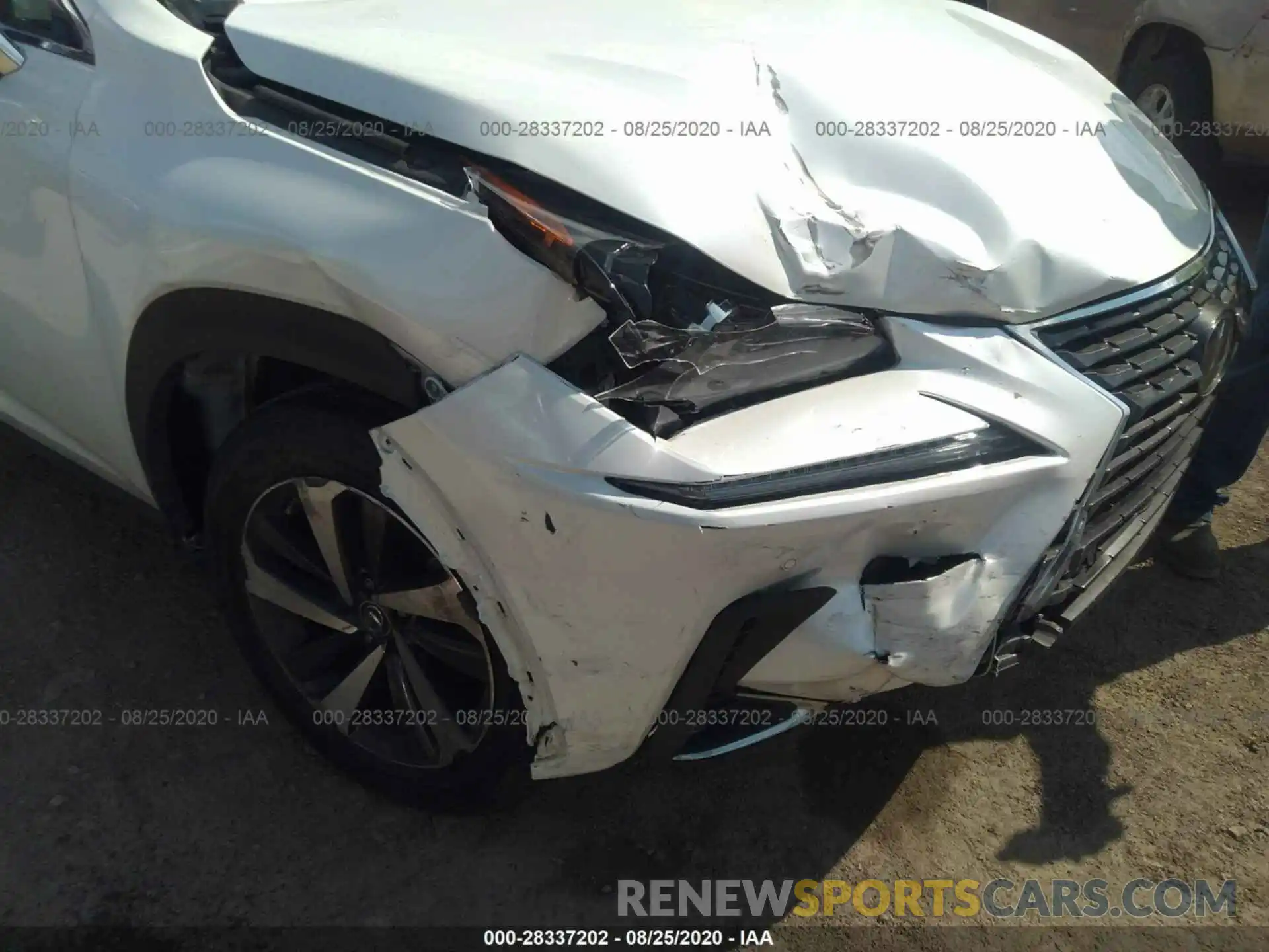 6 Photograph of a damaged car JTJYARBZ9K2118682 LEXUS NX 2019