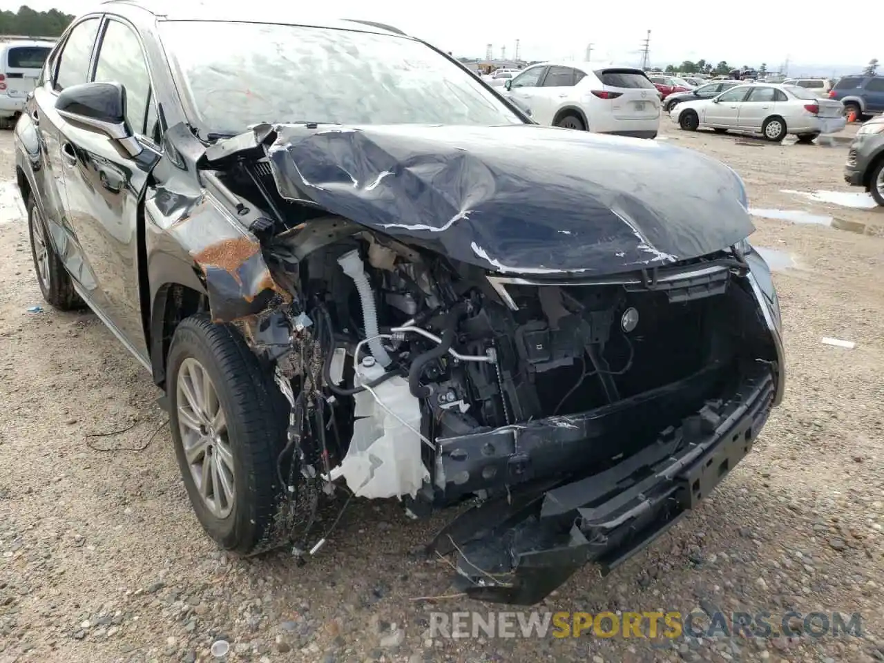 9 Photograph of a damaged car JTJYARBZ9K2128211 LEXUS NX 2019