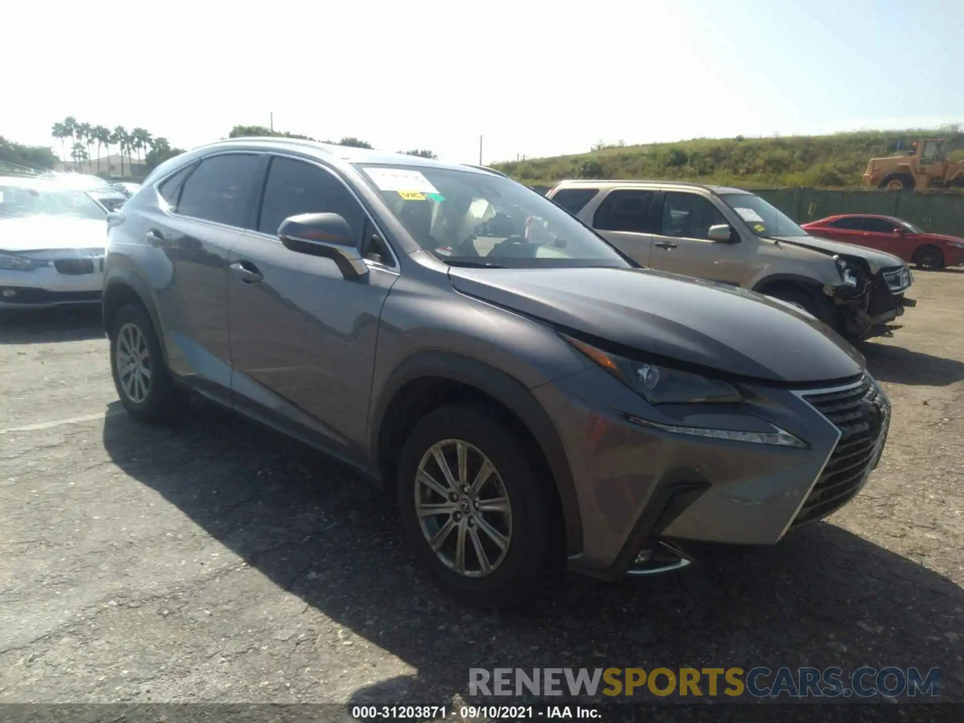 1 Фотография поврежденного автомобиля JTJYARBZXK2145826 LEXUS NX 2019