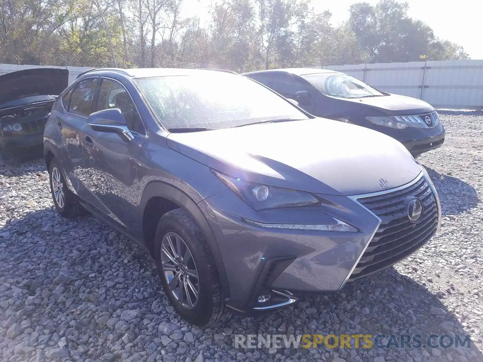 1 Photograph of a damaged car JTJAARBZ9L2175435 LEXUS NX 2020